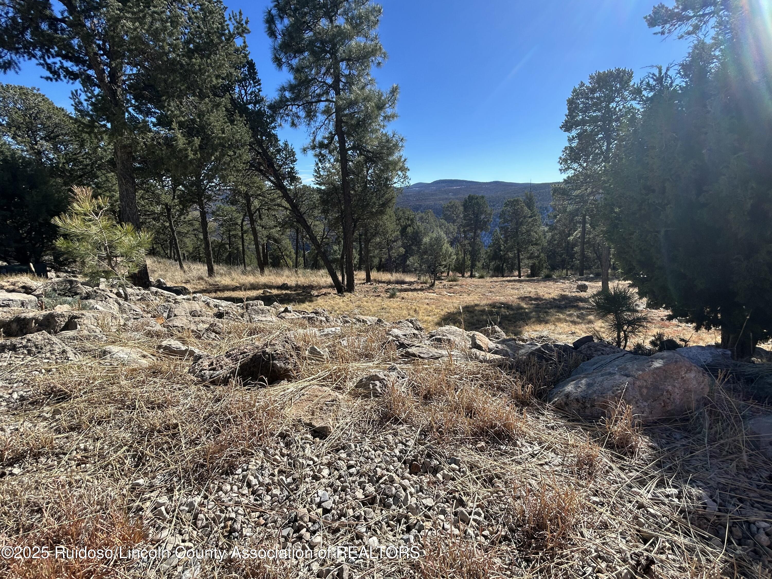 107 Avalon Court Ruidoso New Mexico United States, for Sale, commercial, Mirissa Good, Better Homes & Gardens Real Estate - Steinborn & Associates