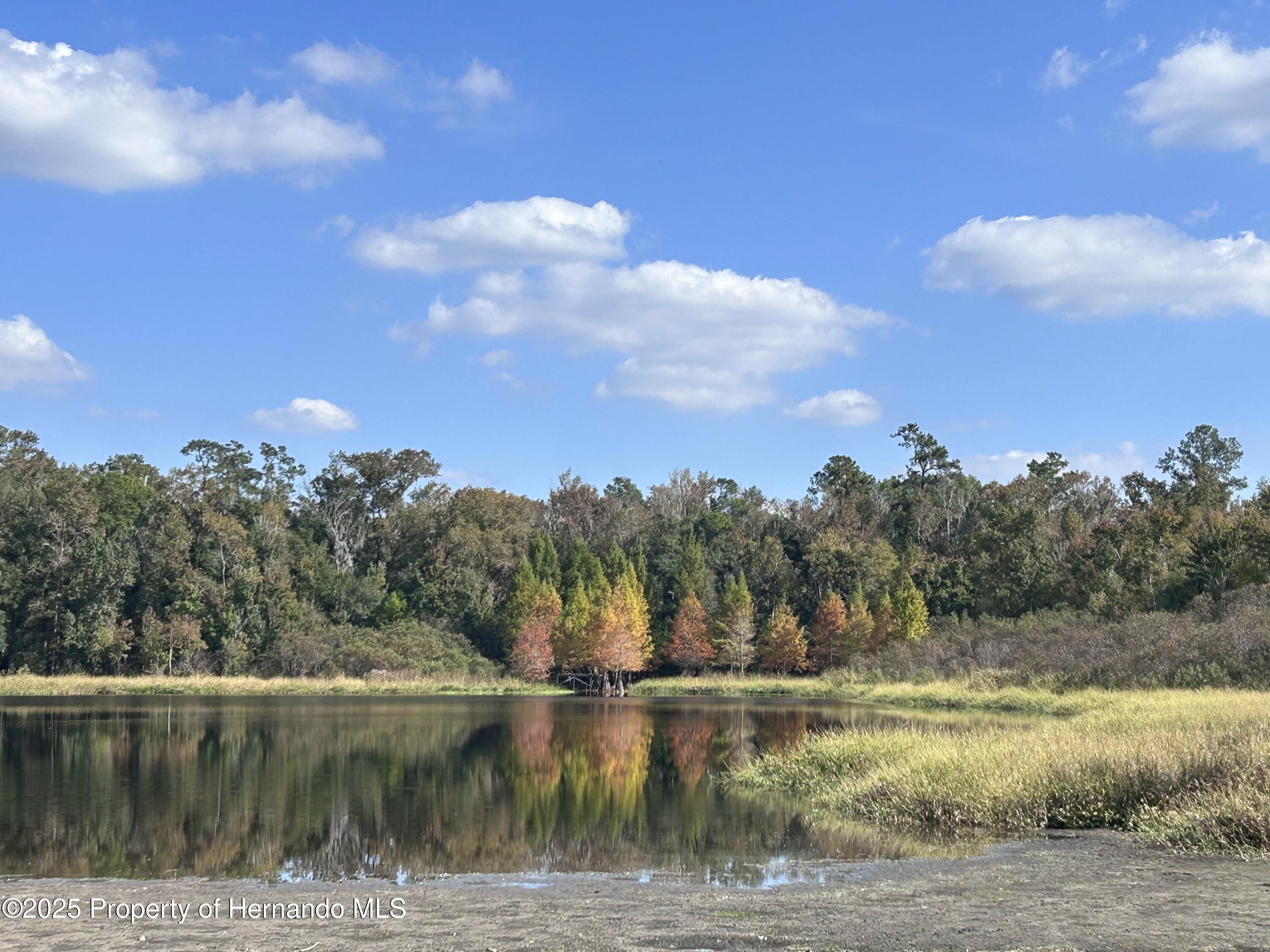 2092 Culbreath  APT D67 Brooksville Florida United States, for Sale, residential,  , Gold Star Realty Group Inc