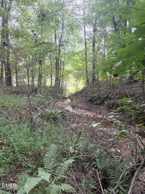 W Greensboro Chapel Hill Road Liberty North Carolina United States, for Sale, commercial,  , Realty World Carolina Properties