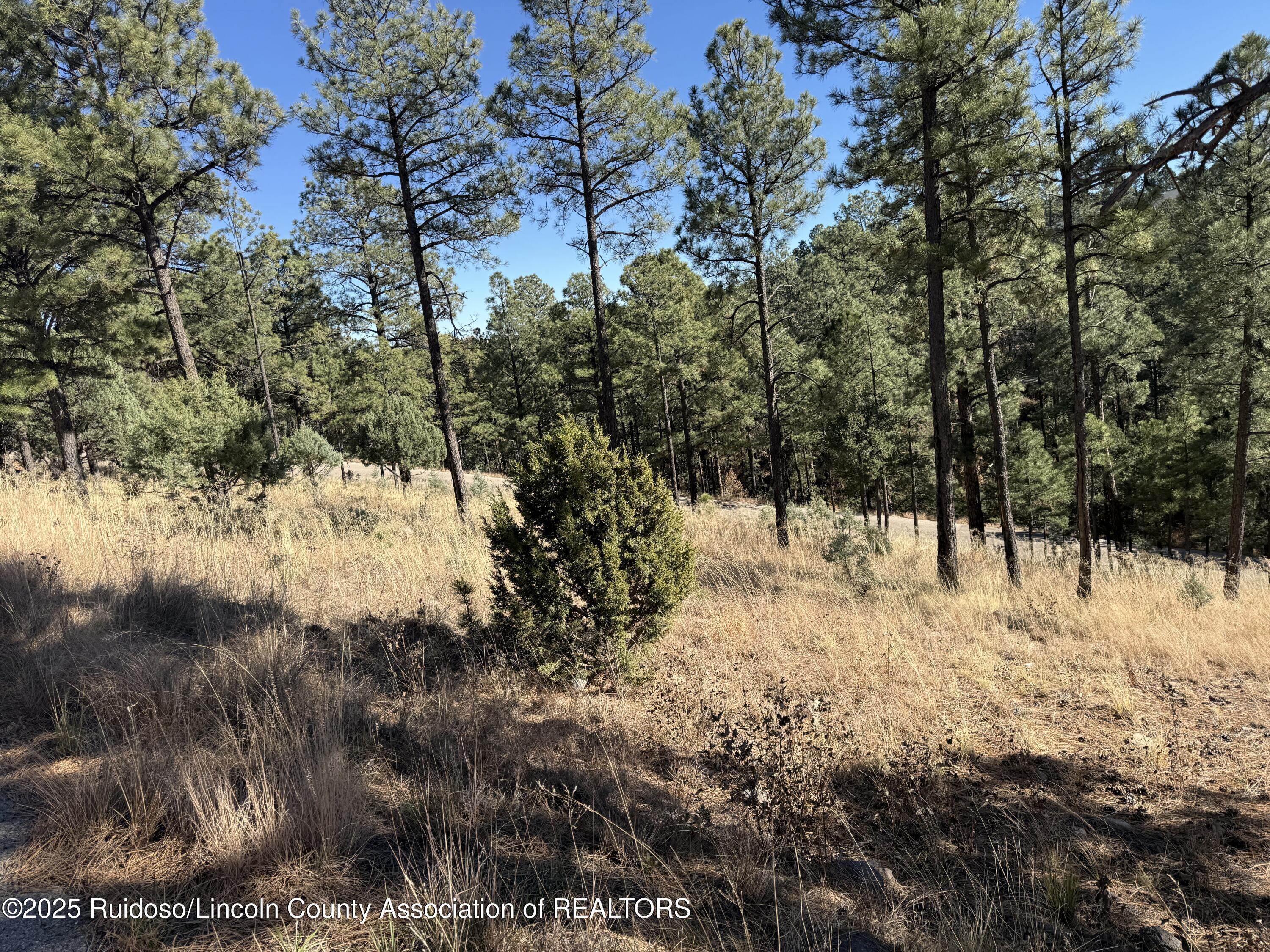 6 El Camino Alto New Mexico United States, for Sale, commercial, Esme Sanchez, Century 21 Aspen Real Estate Company Inc.