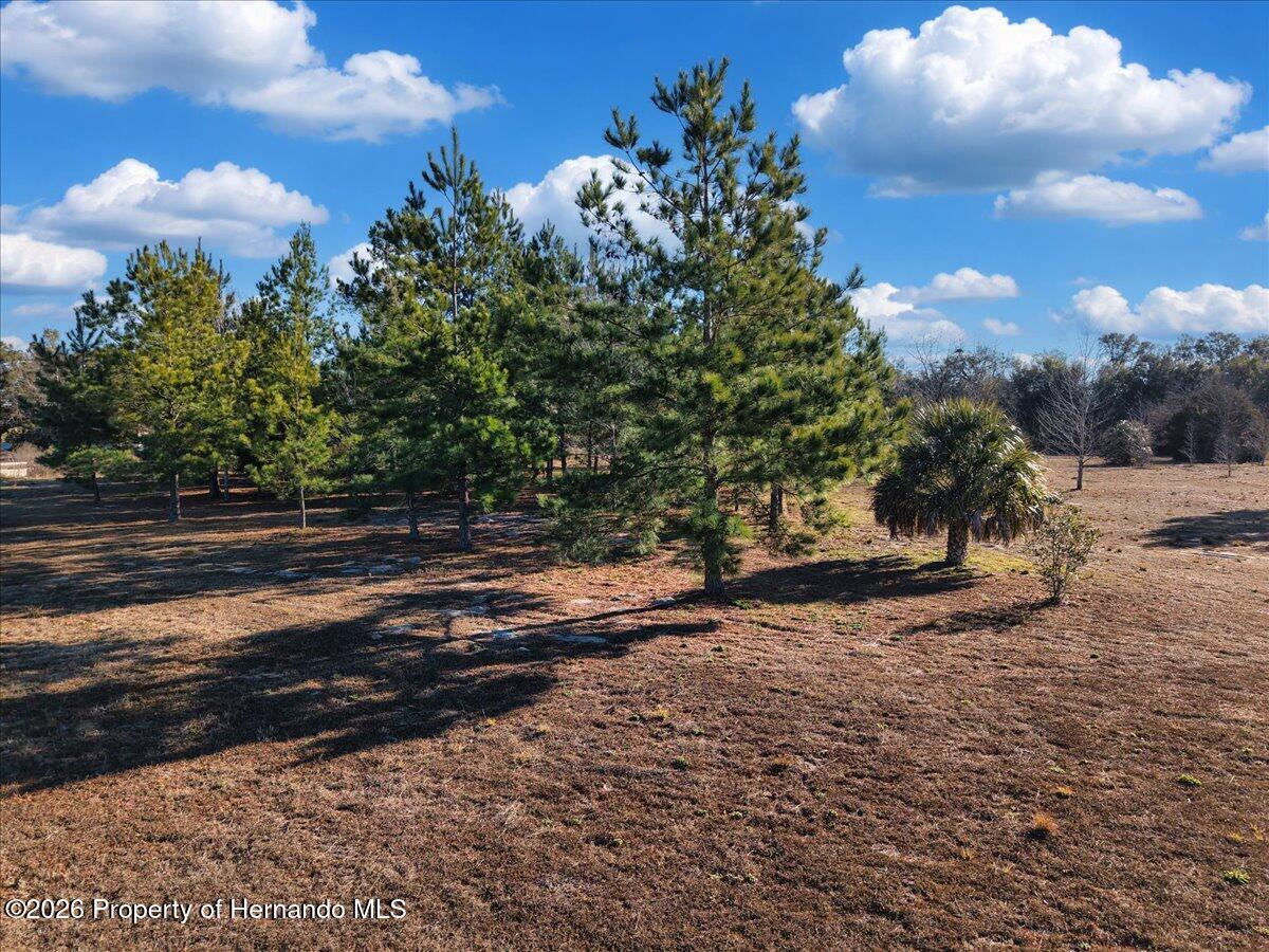 NW 76th Avenue Chiefland Florida United States, for Sale, residential,  , Gold Star Realty Group Inc