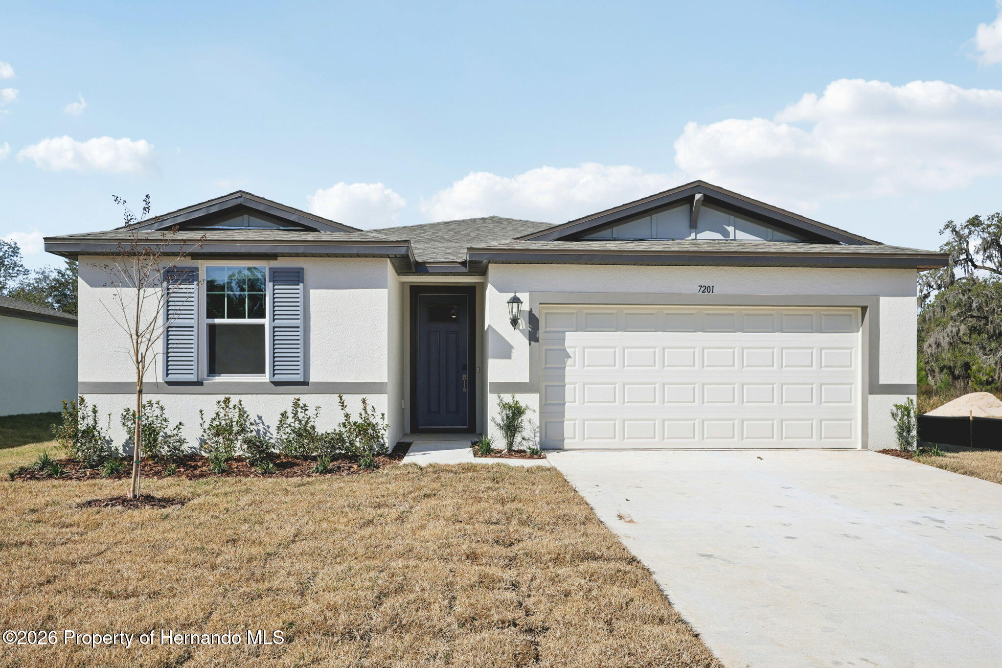 7201 RAY CREEK Drive Brooksville Florida United States, for Sale, residential,  , Gold Star Realty Group Inc