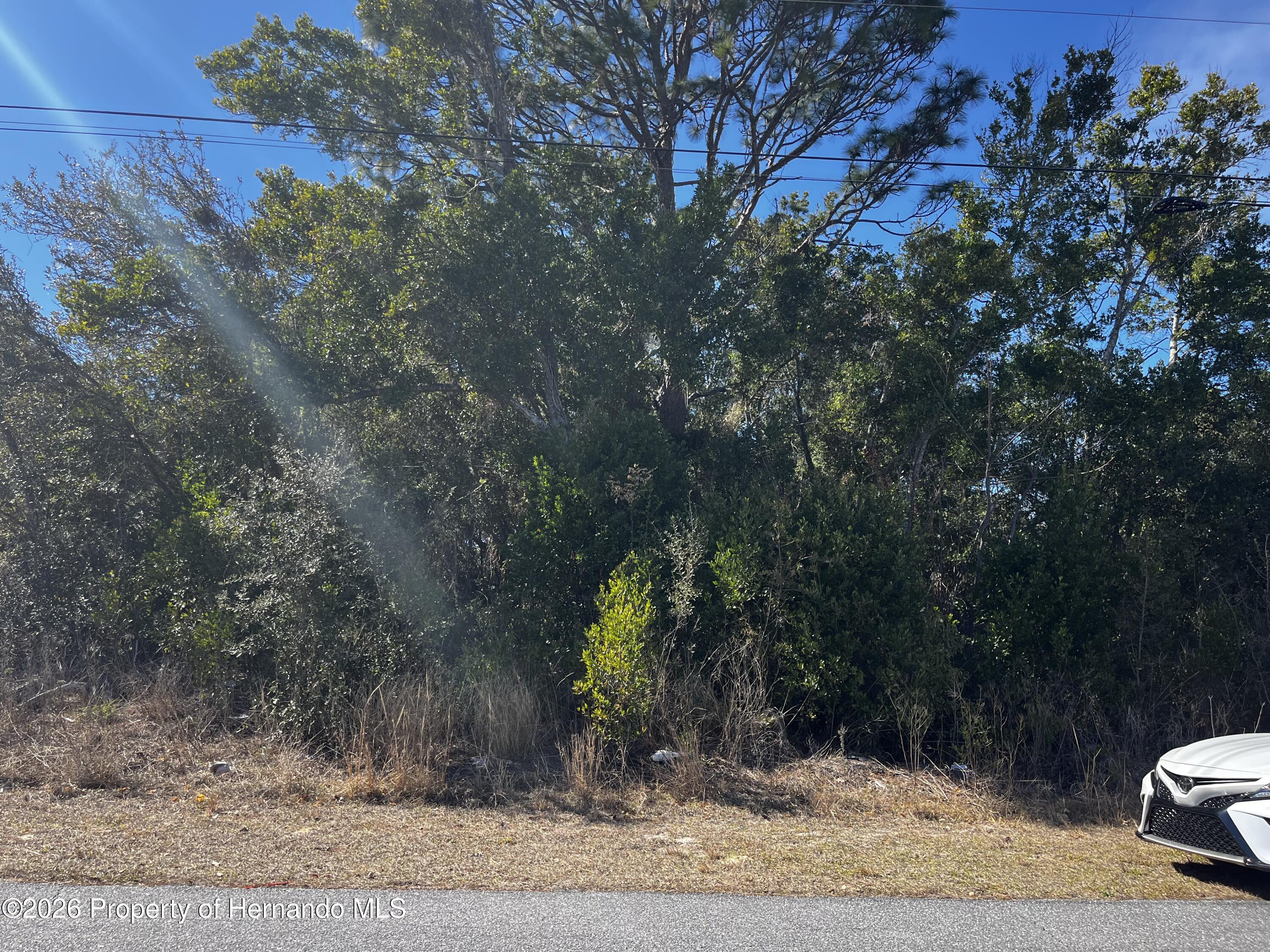 Marietta Avenue Spring Hill Florida United States, for Sale, residential,  , Gold Star Realty Group Inc