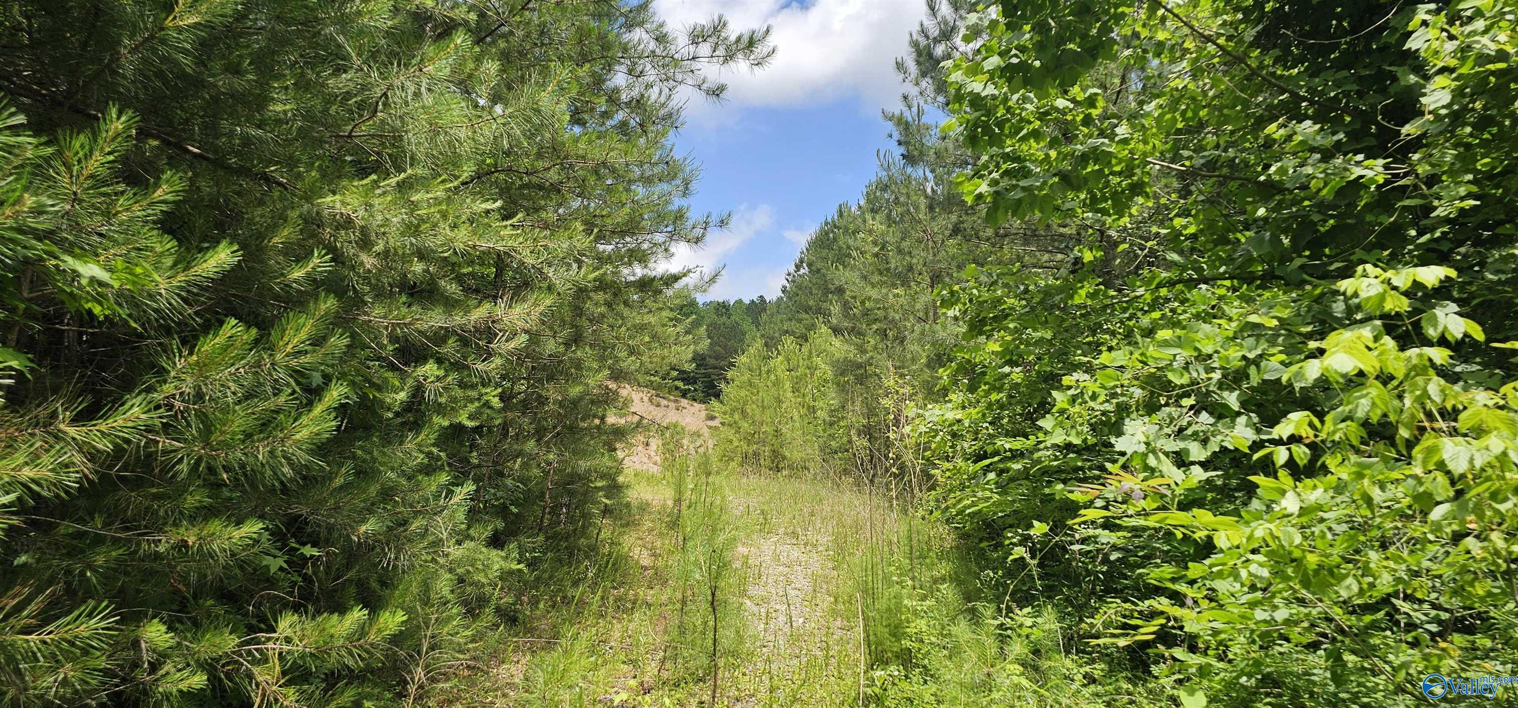 3.3+/- Acres--0 County Road 27 Fort Payne Alabama United States, for Sale, commercial,  , Waterfront International Realty