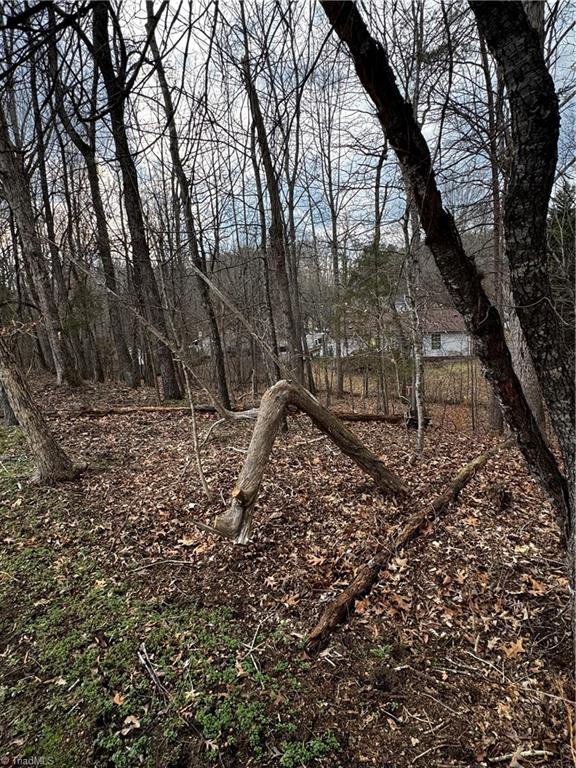 2703 Camillia Cove High Point North Carolina United States, for Sale, residential, J.C. Grose, Triad Home and Land Co.