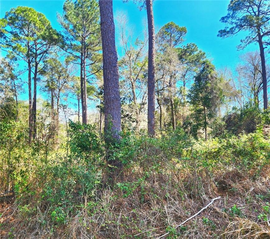 Dauphin Island Parkway Theodore Alabama United States, for Sale, commercial,  , Rezults Real Estate Services, LLC