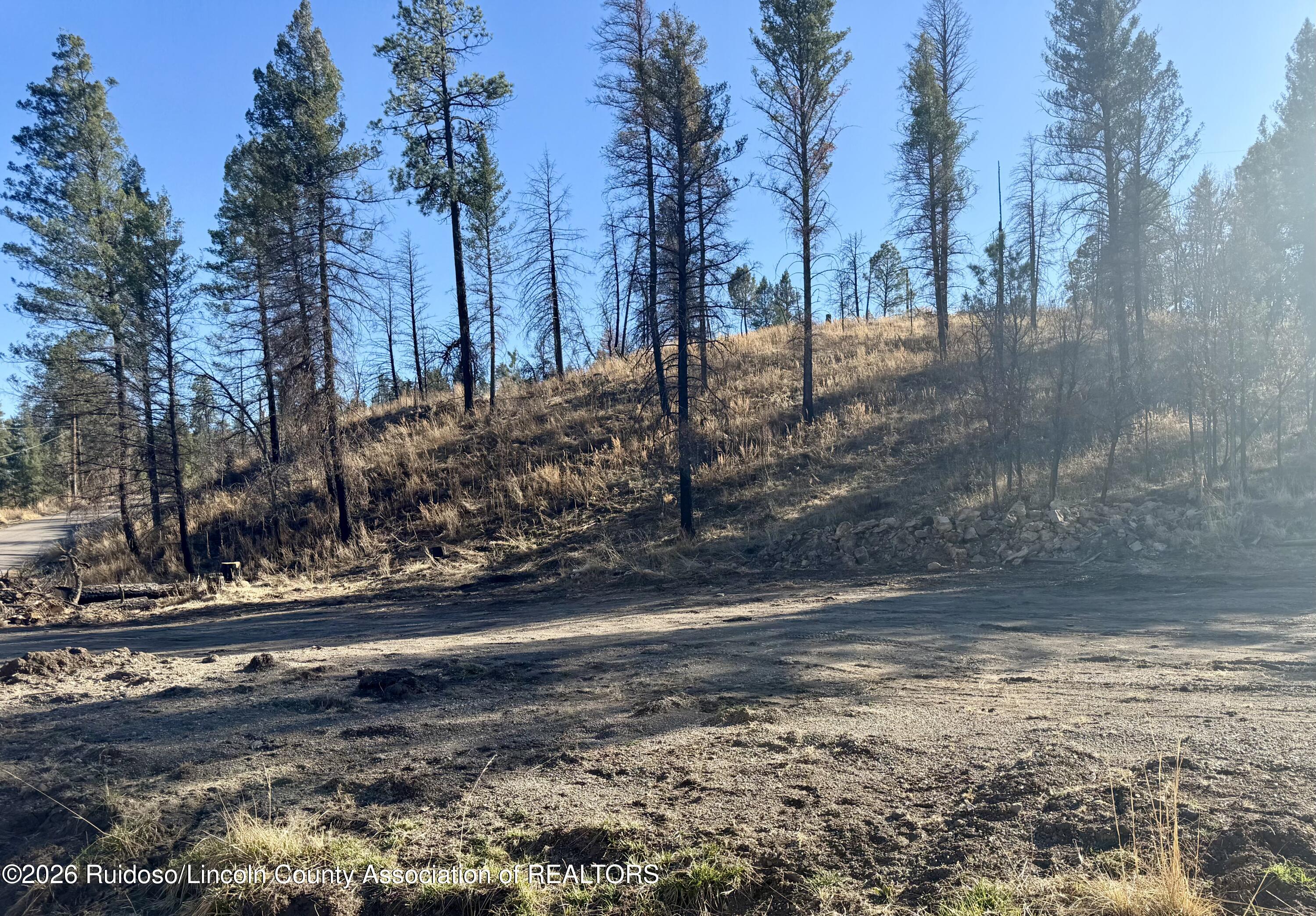 103 Alpine Village Road Ruidoso New Mexico United States, for Sale, commercial, Esme Sanchez, Century 21 Aspen Real Estate Company Inc.
