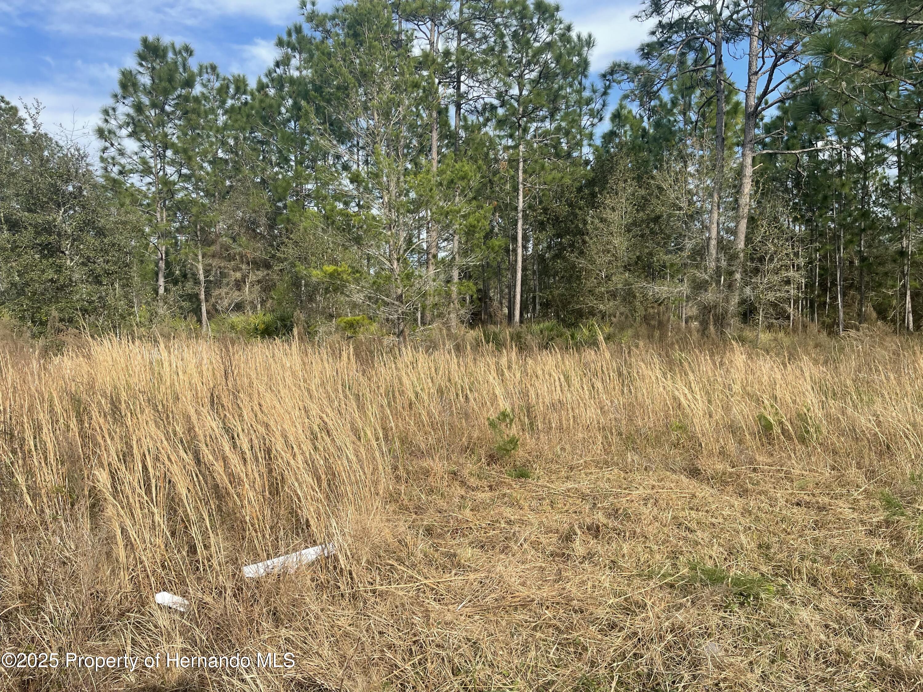 18061 Necklace Warbler Avenue Brooksville Florida United States, for Sale, commercial,  , Gold Star Realty Group Inc