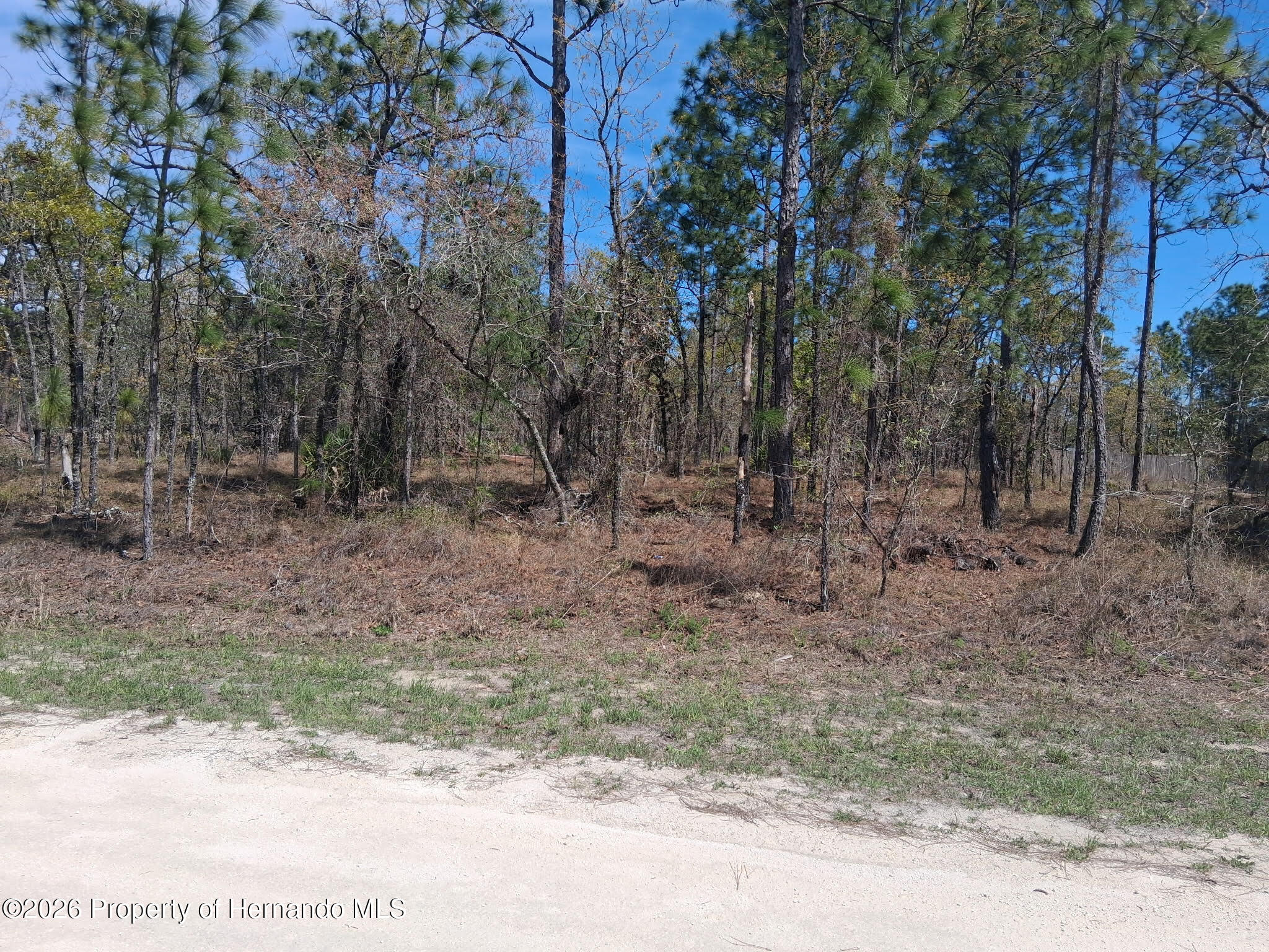 Green Jay Road Brooksville Florida United States, for Sale, residential,  , Gold Star Realty Group Inc