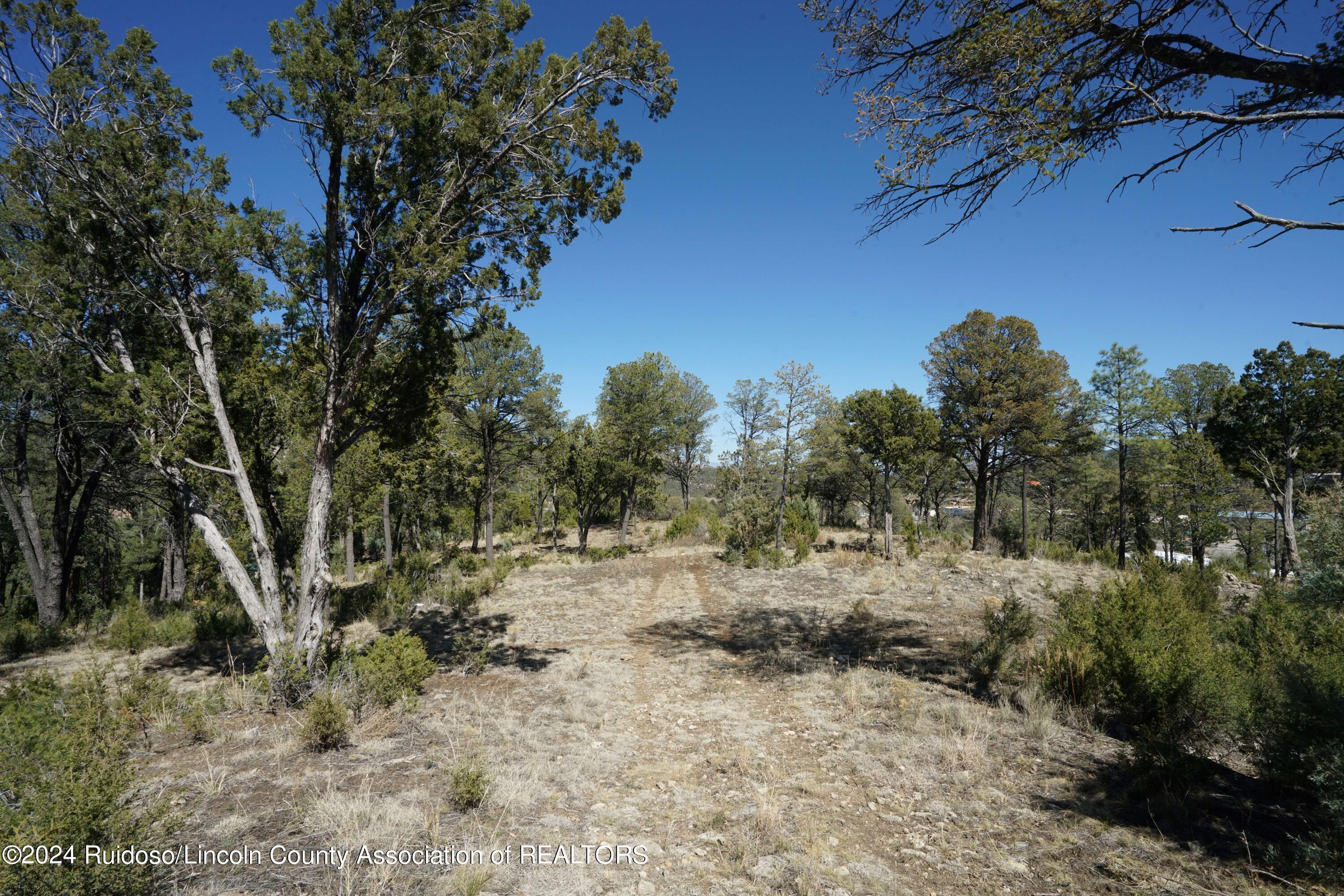 100 Crown Drive Ruidoso New Mexico United States, for Sale, commercial, Esme Sanchez, Century 21 Aspen Real Estate Company Inc.