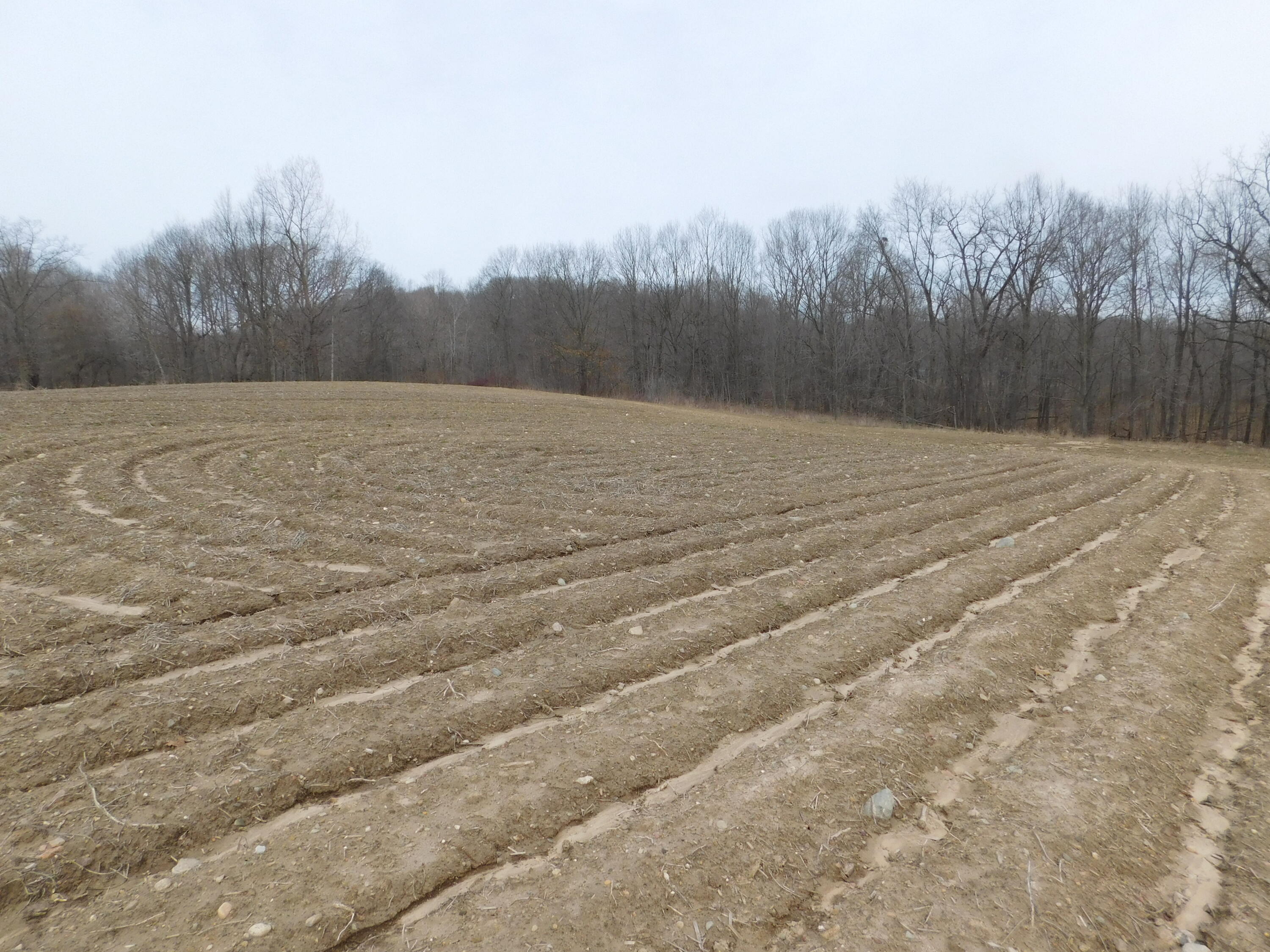 Cox Road Bellevue Michigan United States, for Sale, commercial,  , Evenboer-Walton Realtors