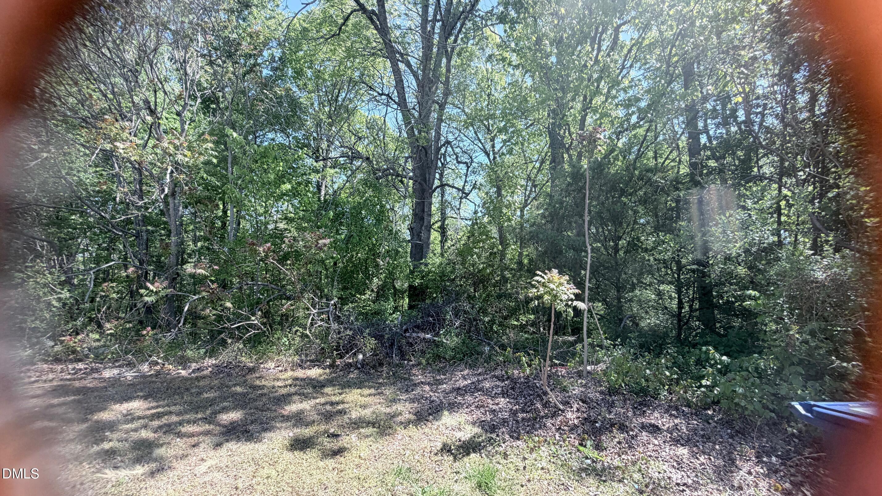 1706 Wind Sound Way Siler City North Carolina United States, for Sale, residential,  , Realty World Carolina Properties