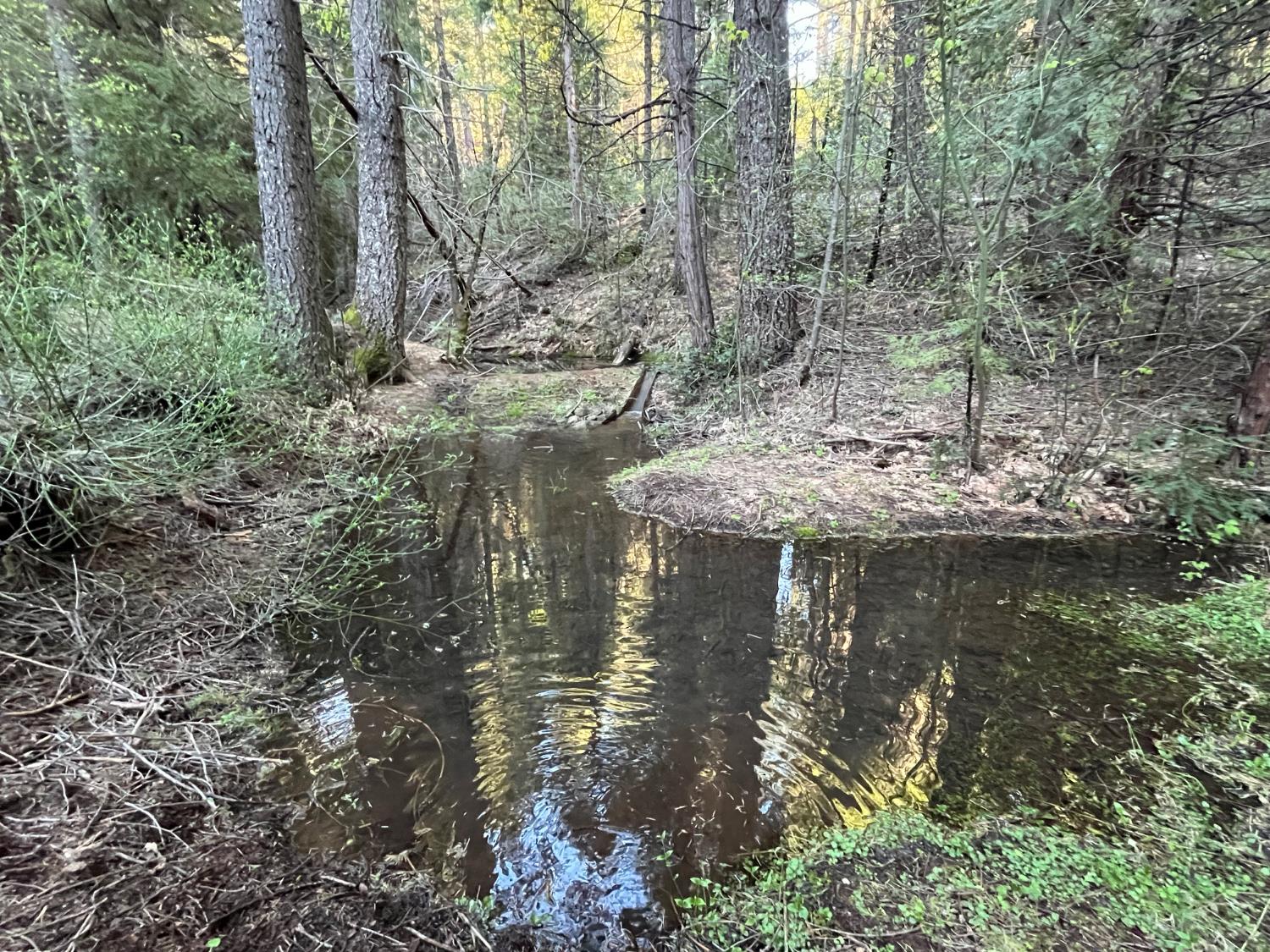 18035 Mobley Springs Road Nevada City California United States, for Sale, residential,  , CORE Real Estate Brokerage