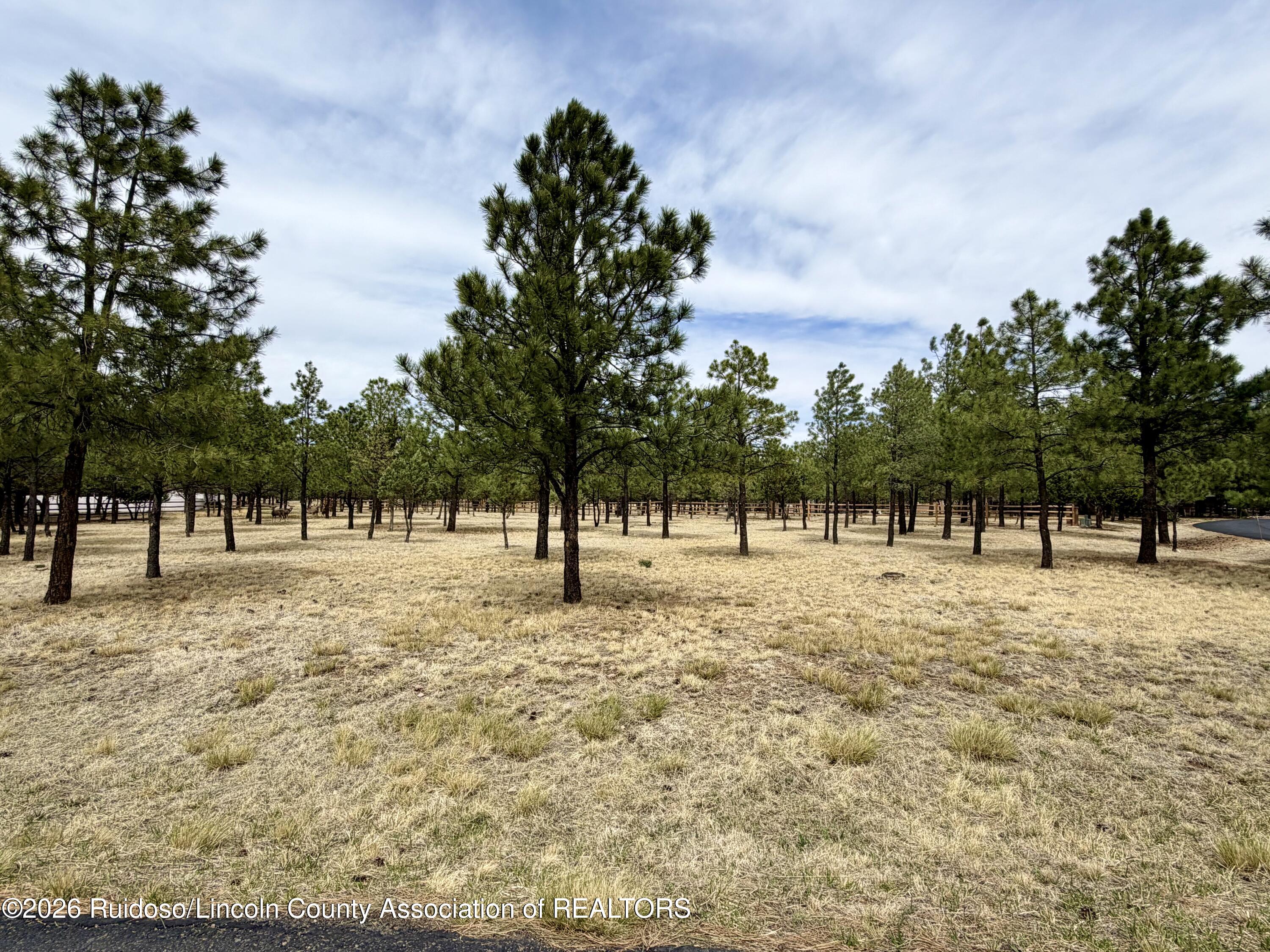 105 Goldenrod Lane Alto New Mexico United States, for Sale, commercial, Esme Sanchez, Century 21 Aspen Real Estate Company Inc.