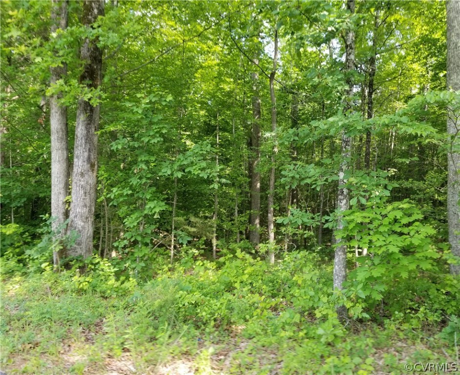 Union Church Road Beaverdam Virginia United States, Sold, residential,  , HomeLife Access Realty