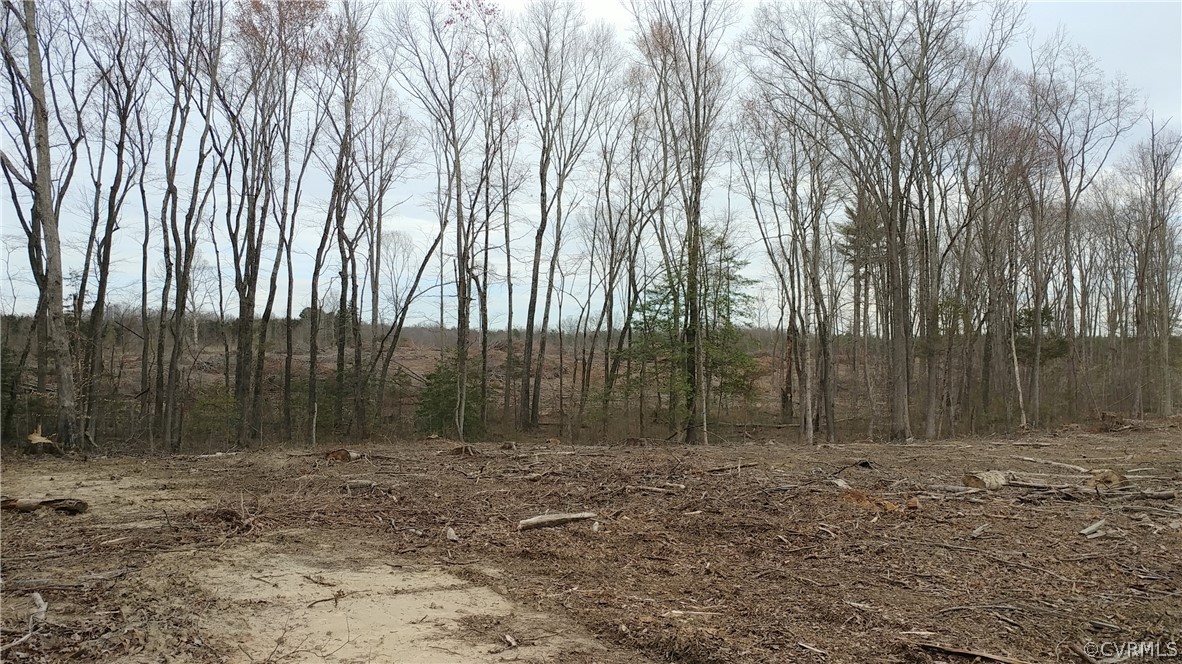 Union Church Road Beaverdam Virginia United States, Sold, residential,  , HomeLife Access Realty