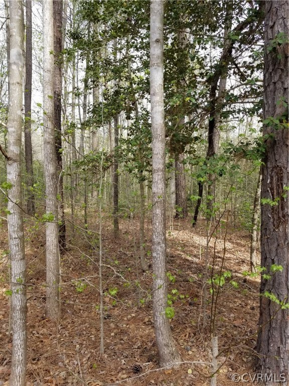 Hollowing Creek Road Beaverdam Virginia United States, Sold, residential,  , HomeLife Access Realty