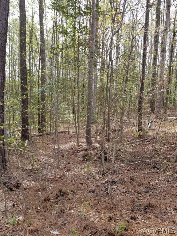 Trainham Road Beaverdam Virginia United States, Sold, residential,  , HomeLife Access Realty
