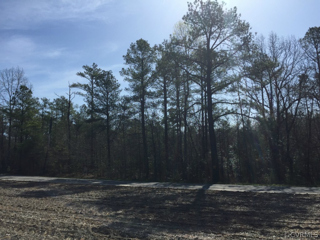 Locust Grove Road Bowling Green Virginia United States, Sold, residential,  , HomeLife Access Realty