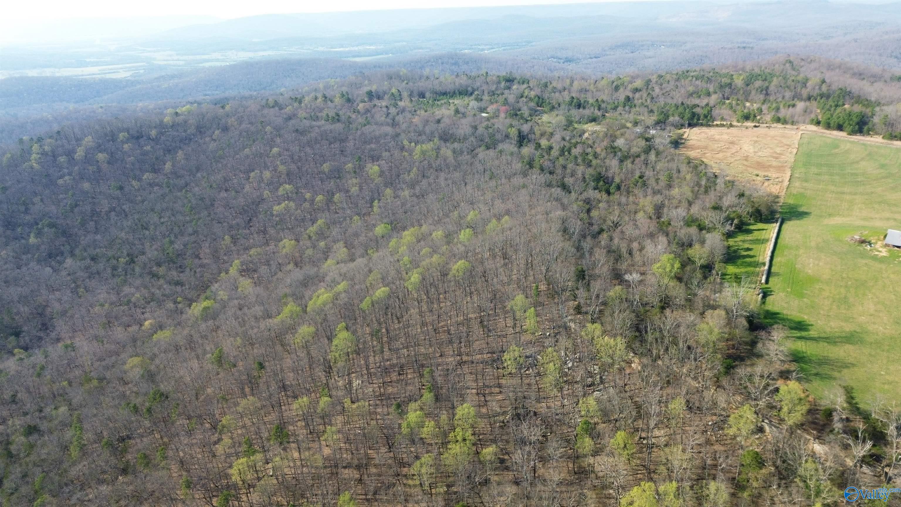 25 Paramount Drive Grant Alabama United States, for Sale, commercial,  , Down Home Real Estate llc