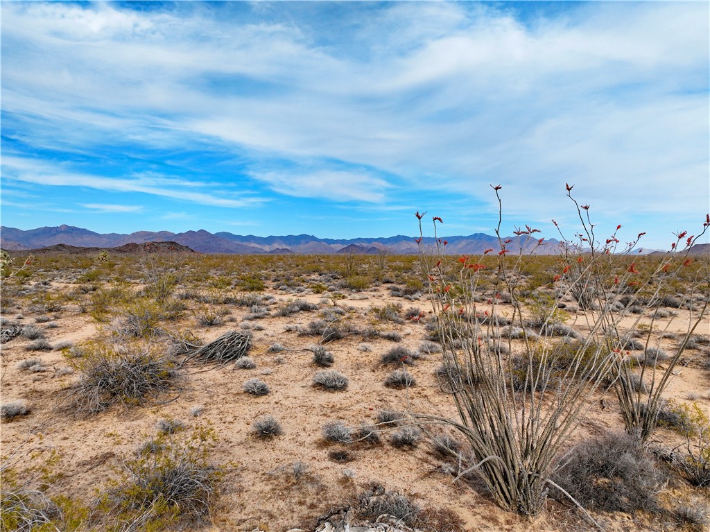 S Tabitha Yucca Arizona United States, for Sale, commercial,  , Turner Hill Properties