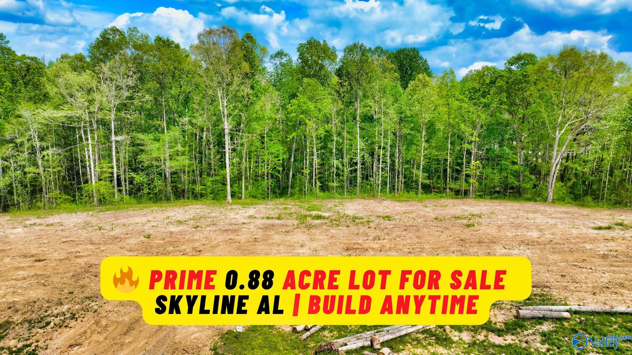 .88 Acre County Road 825 Scottsboro Alabama United States, for Sale, residential, , Waterfront International Realty