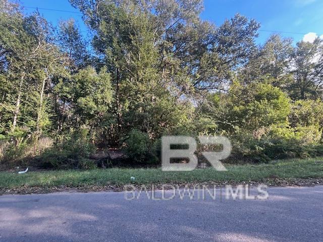 New Era Road Fairhope Alabama United States, for Sale, commercial, , ValPointe Real Estate & Development