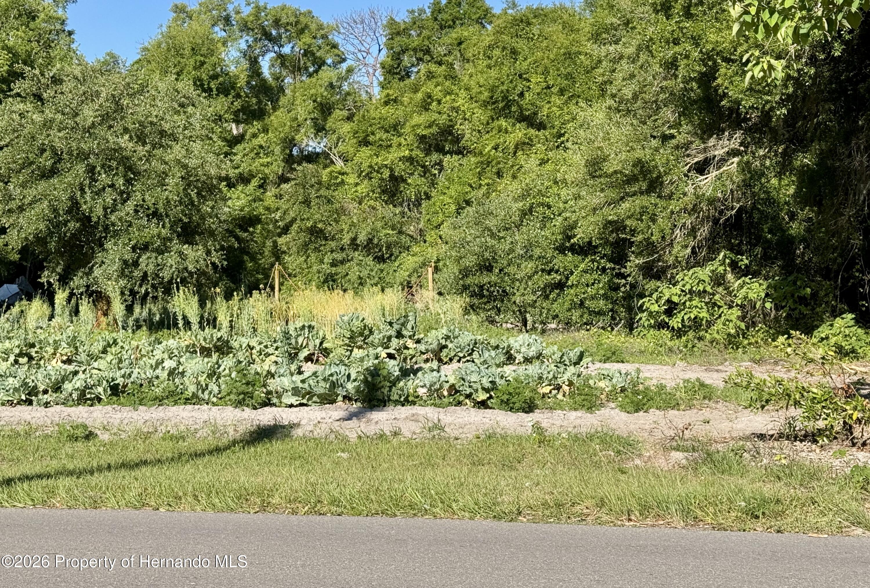 County Road 213 Wildwood Florida United States, for Sale, residential,  , Gold Star Realty Group Inc