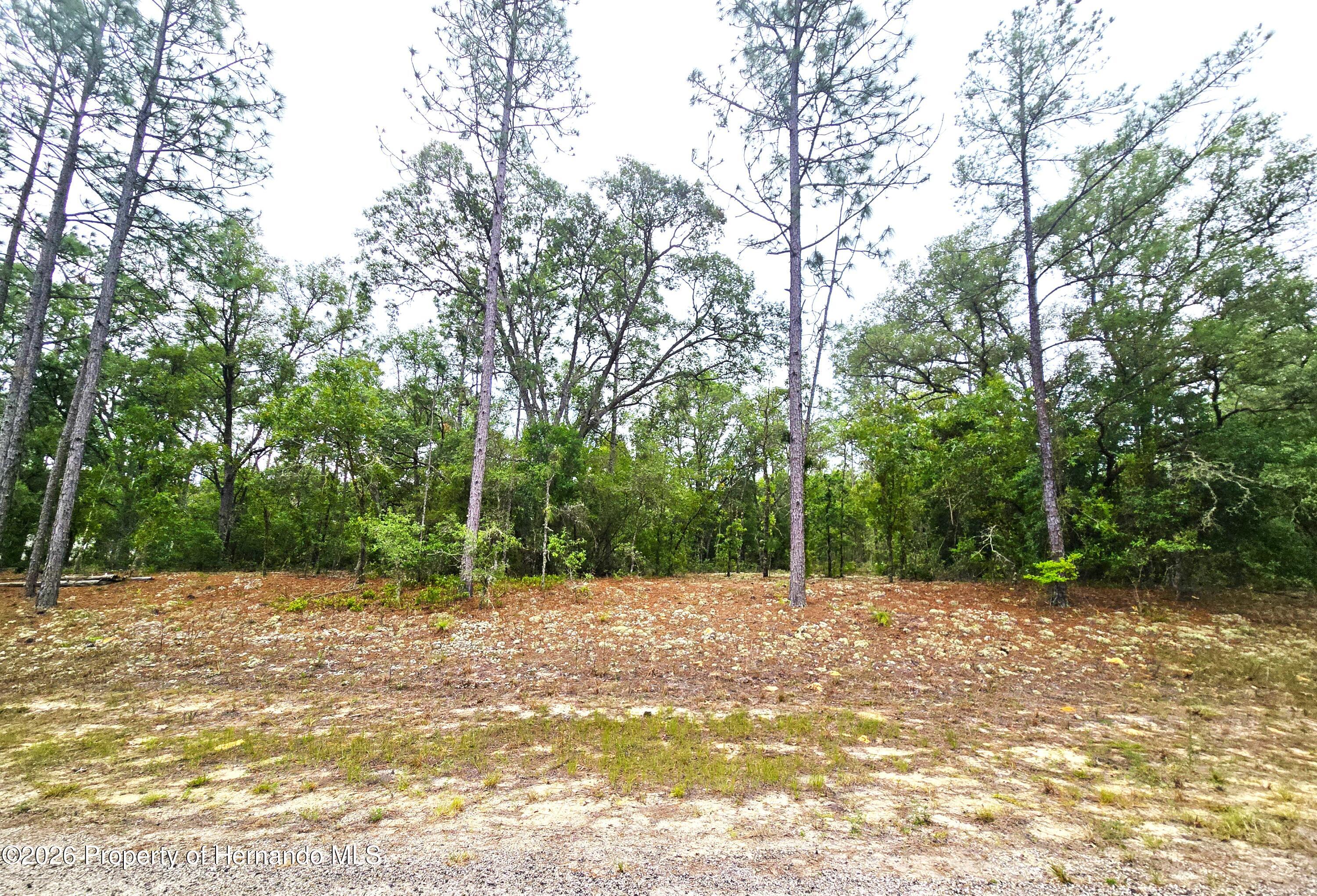 576 E Nemo Drive Citrus Springs Florida United States, for Sale, residential,  , Gold Star Realty Group Inc