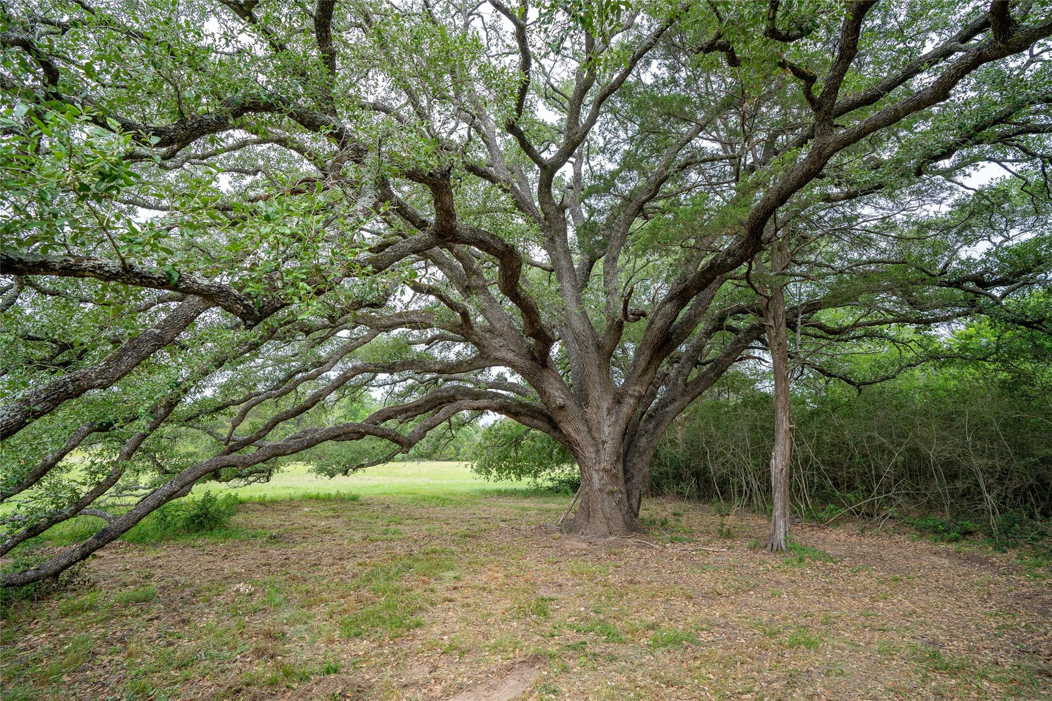 TBD FM 713 Highway Rosanky Texas United States, for Sale, residential,  , Link Realty, LLC