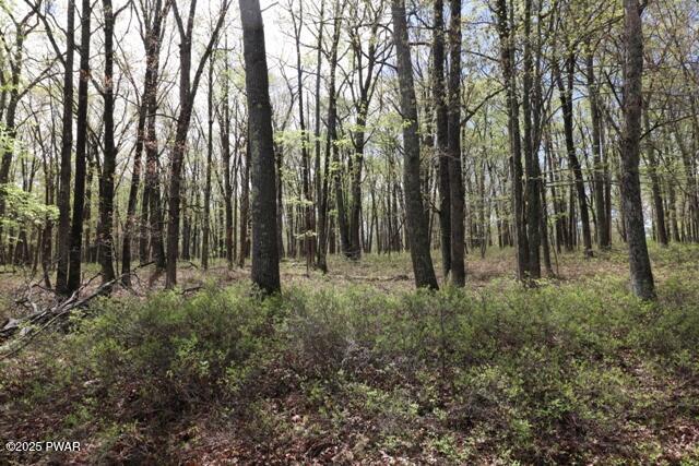 177 Lake View Circle Hawley Pennsylvania United States, for Sale, commercial, Al Ryan, Berkshire Hathaway HomeServices Pocono Real Estate