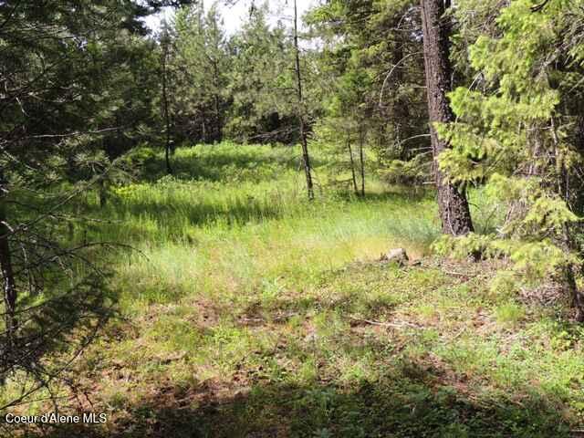NKA Antler LN Spirit Lake Idaho United States, for Sale, residential, Jenna Wynand, Realty ONE Group Eclipse