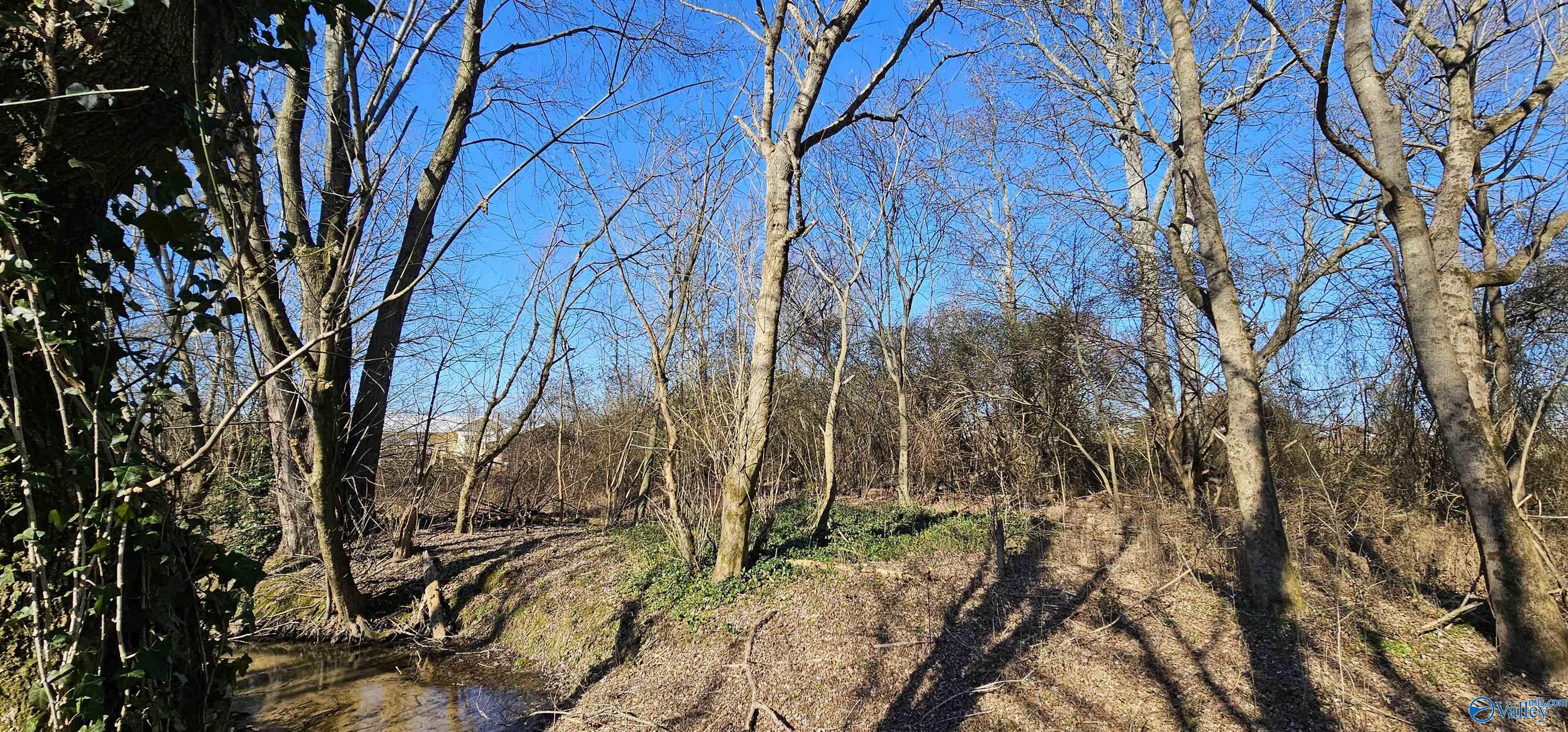 1 +/- Acre Alabama Highway 227 Geraldine Alabama United States, for Sale, residential,  , Waterfront International Realty