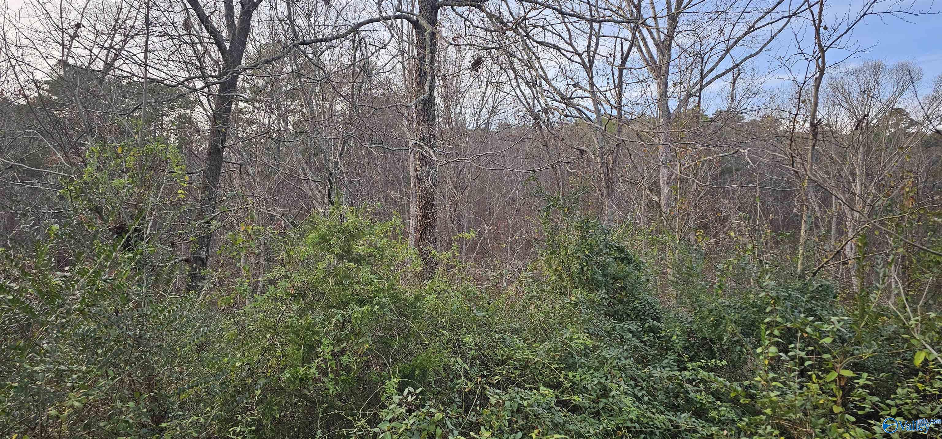 .37+/- Lot Park Road Fort Payne Alabama United States, for Sale, residential,  , Waterfront International Realty