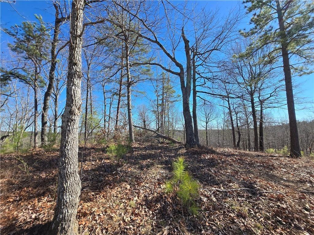 Brushy Mountain Road Rockmart Georgia United States, for Sale, residential, Keely George, Maximum One Greater Atlanta Realtors