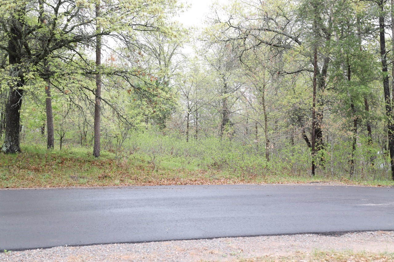 XXX Oaks Court Danbury Wisconsin United States, for Sale, residential,  , CENTURY 21 Property Professionals