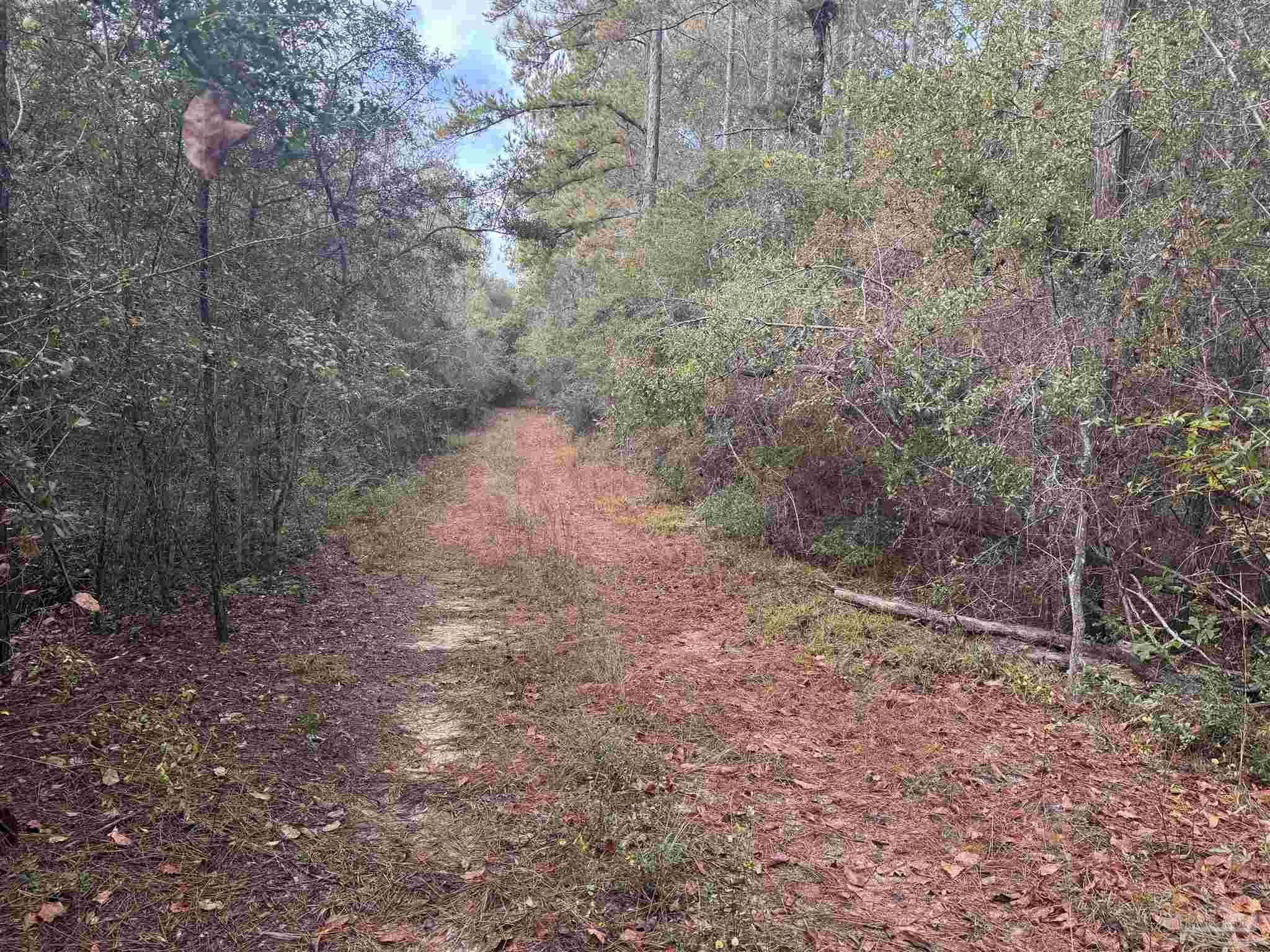 00 BLK Ryan Rd Crestview Florida United States, for Sale, residential,  , RE/MAX Horizons Realty