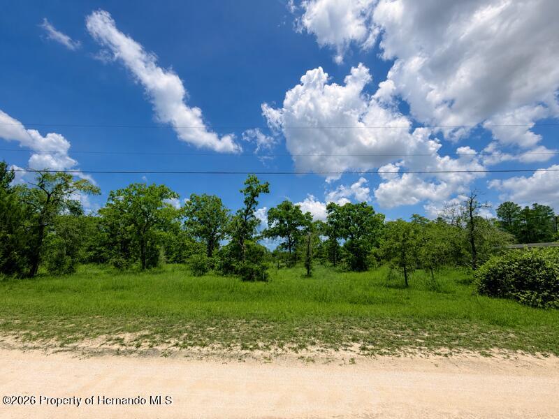 Fulmar Road Weeki Wachee Florida United States, for Sale, residential,  , Gold Star Realty Group Inc
