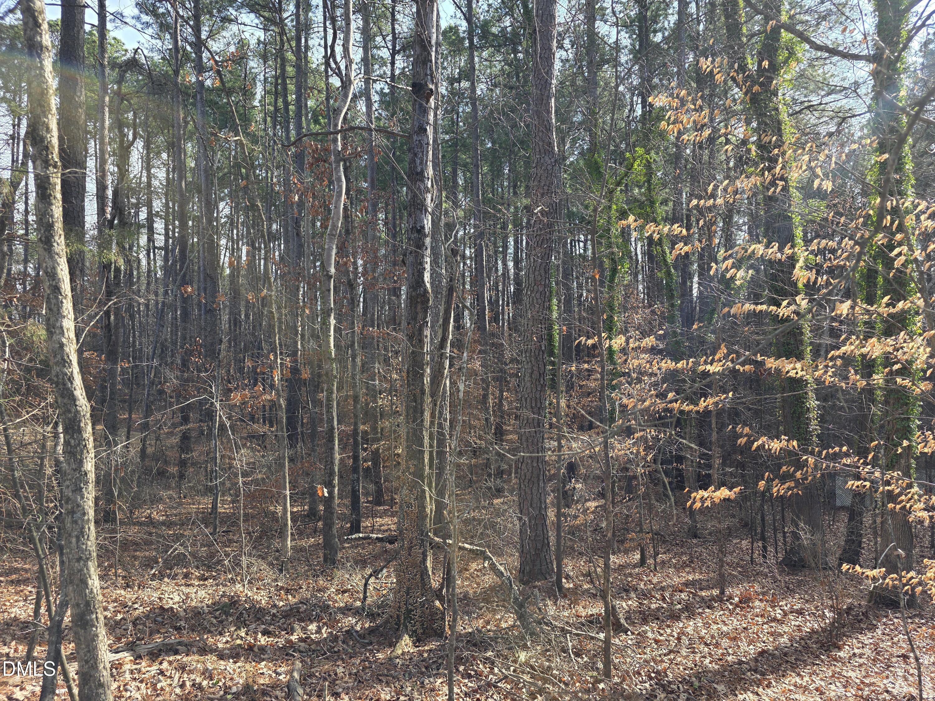 906 Ardmore Drive Durham  United States, for Sale, commercial,  , Tammie Terelle Real-Estate