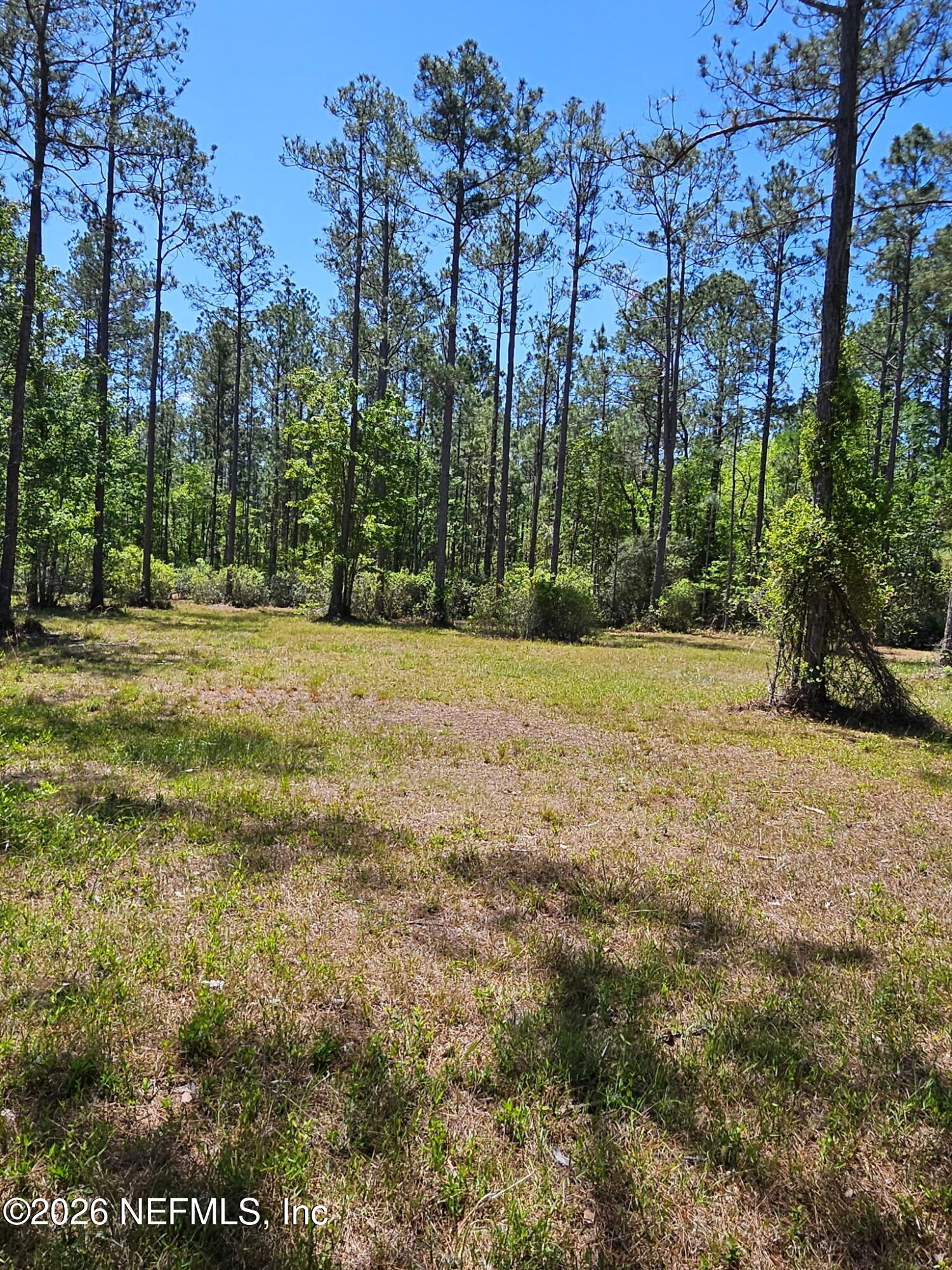 10136 KINGS CROSSING Drive Jacksonville Florida United States, for Sale, residential, Kevin Bachman, Bachman Property Brokers LLC