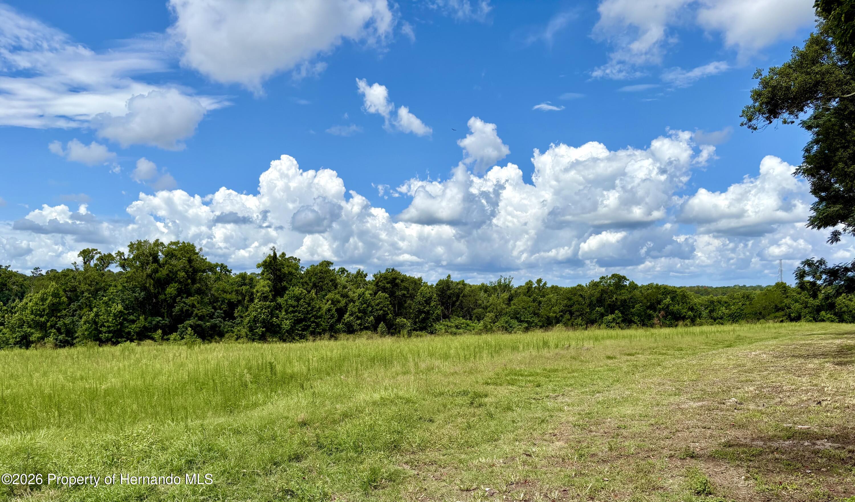 Spring Lake Highway Brooksville Florida United States, for Sale, commercial,  , Gold Star Realty Group Inc