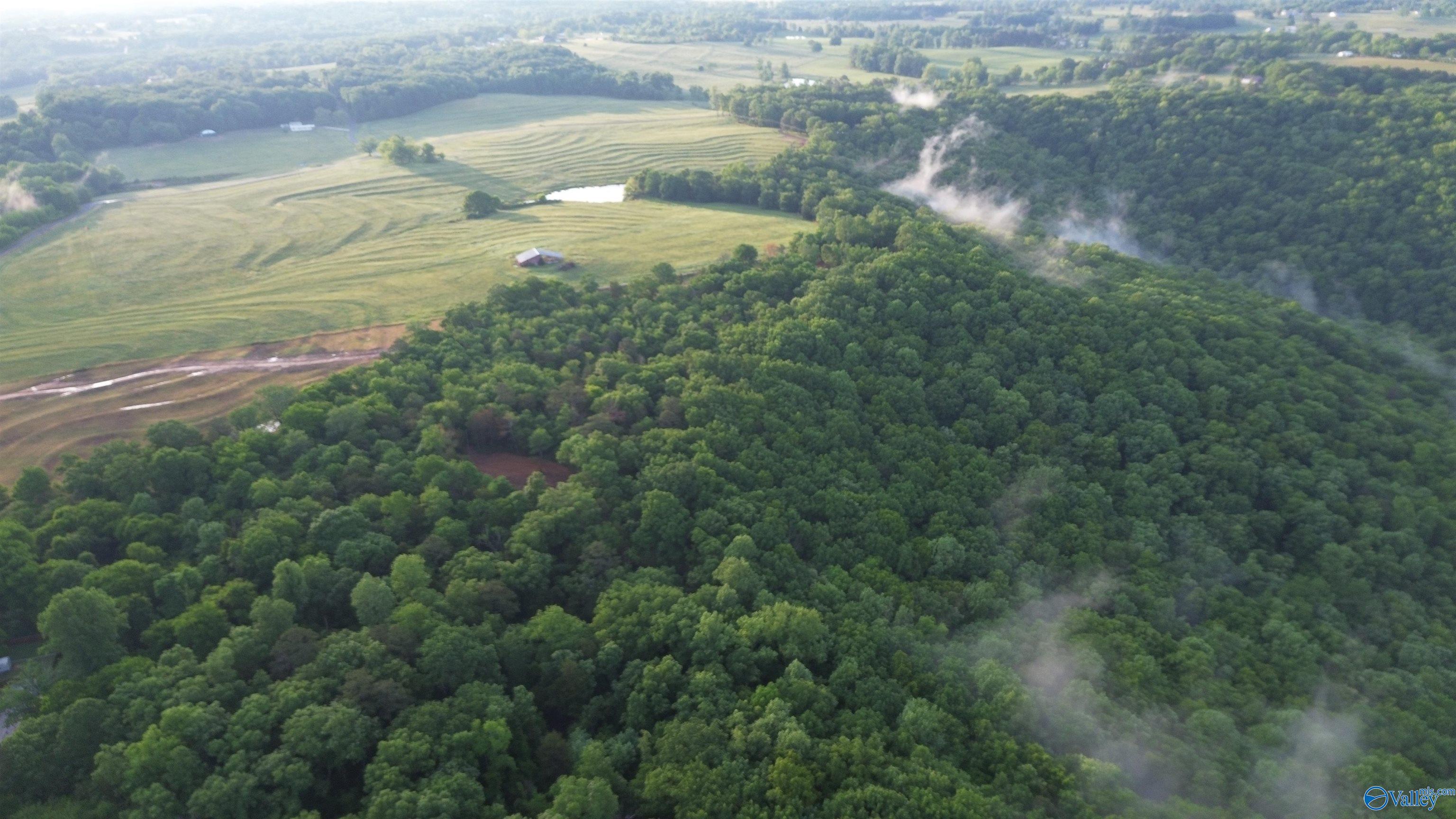 18 Paramount Drive Grant Alabama United States, for Sale, commercial,  , Down Home Real Estate llc