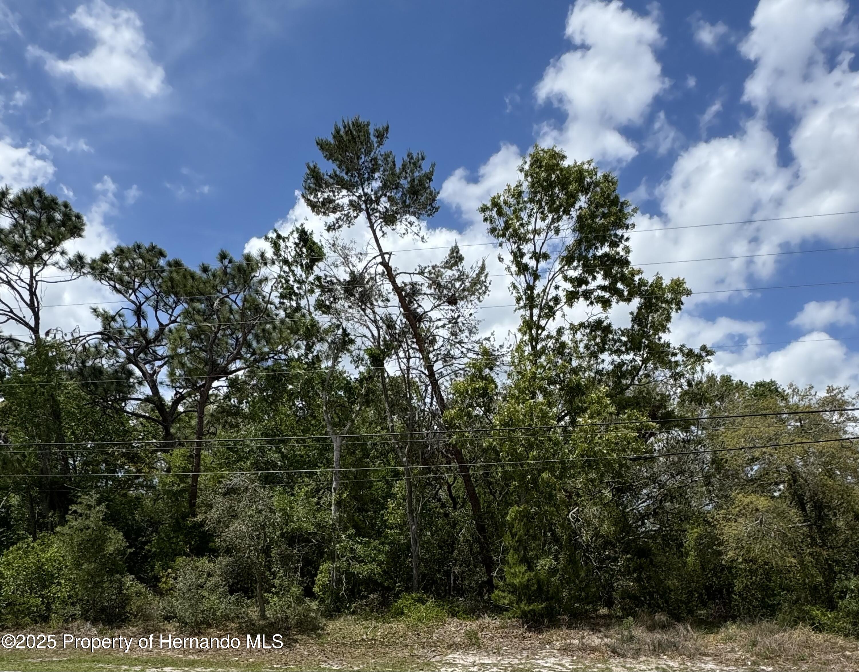 . Waterfall Drive Spring Hill Florida United States, for Sale, residential,  , Gold Star Realty Group Inc