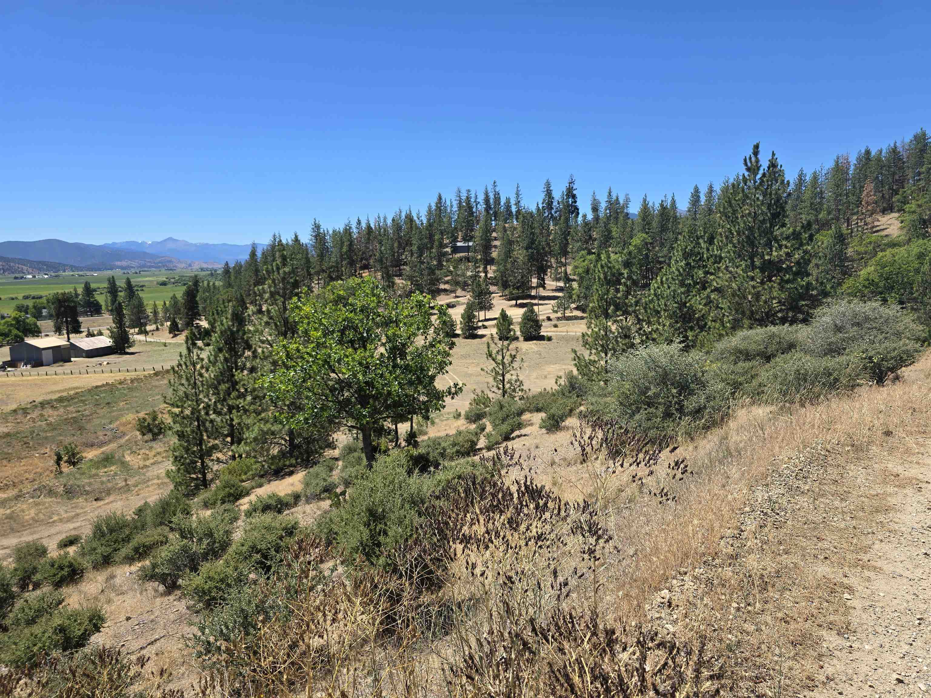 124 Chapporal Fort Jones California United States, for Sale, commercial, , Shasta Incline Real Estate