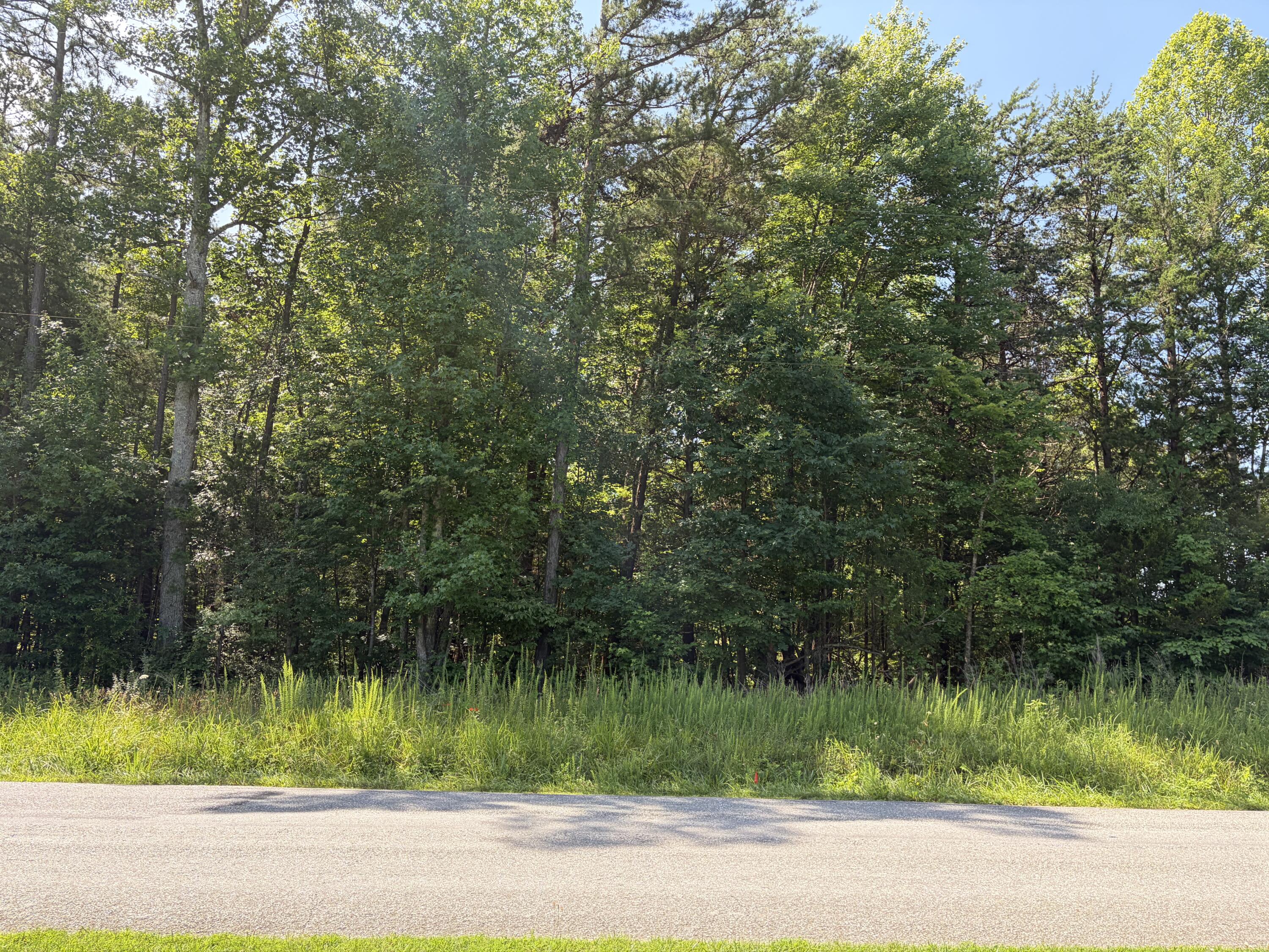 Free State RD Meherrin Virginia United States, for Sale, residential,  , Varney Realty Partners