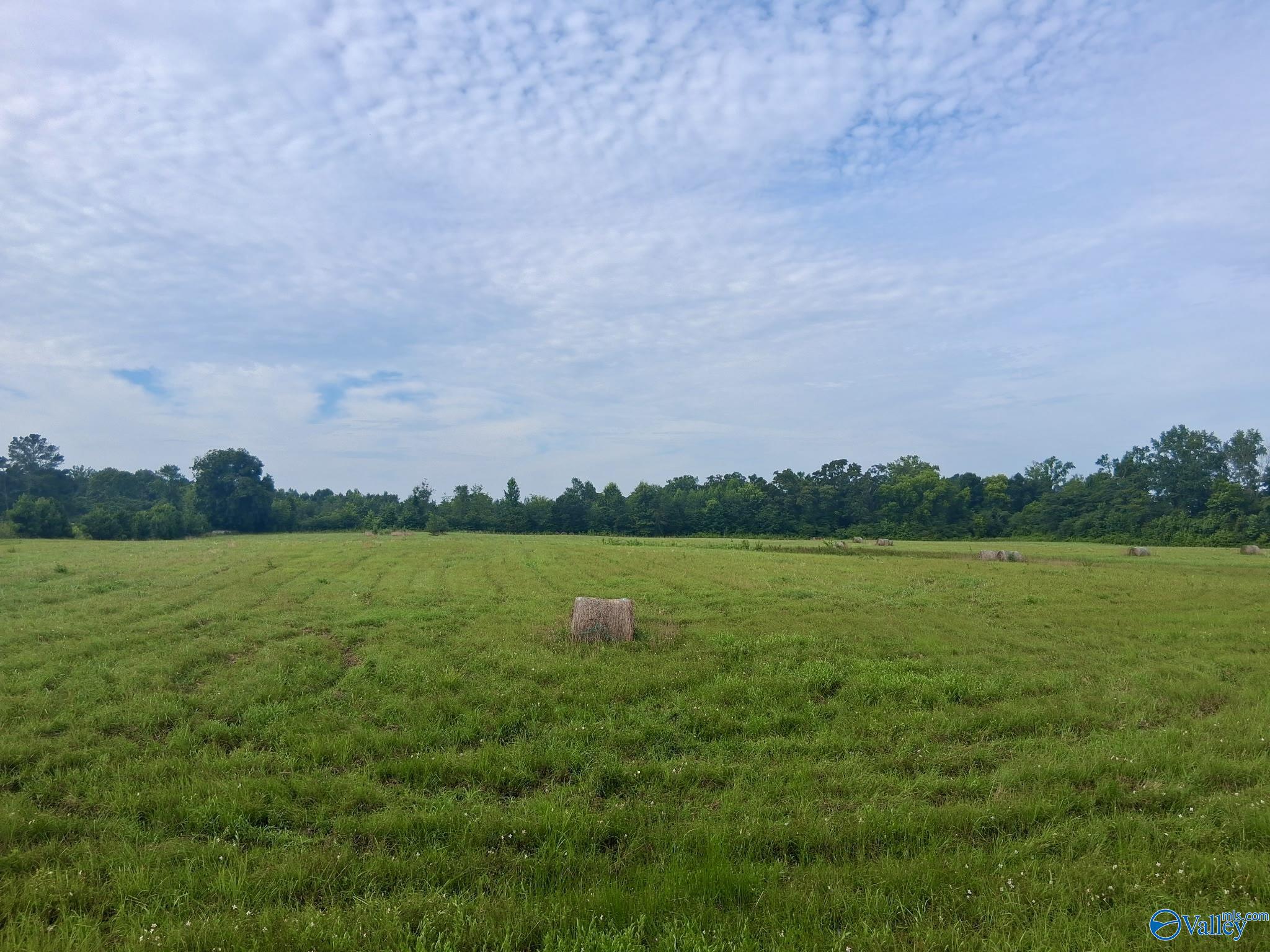 11 acres Columbus City Road Grant Alabama United States, for Sale, commercial,  , Down Home Real Estate llc