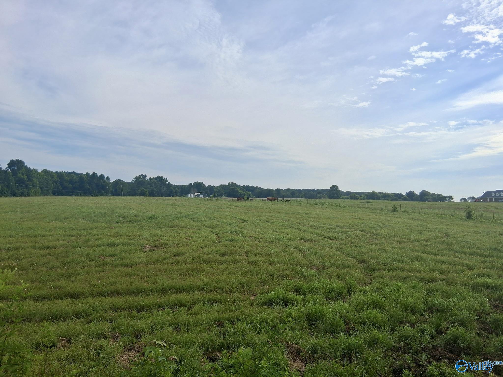 6 acres Columbus City Road Grant Alabama United States, for Sale, commercial,  , Down Home Real Estate llc