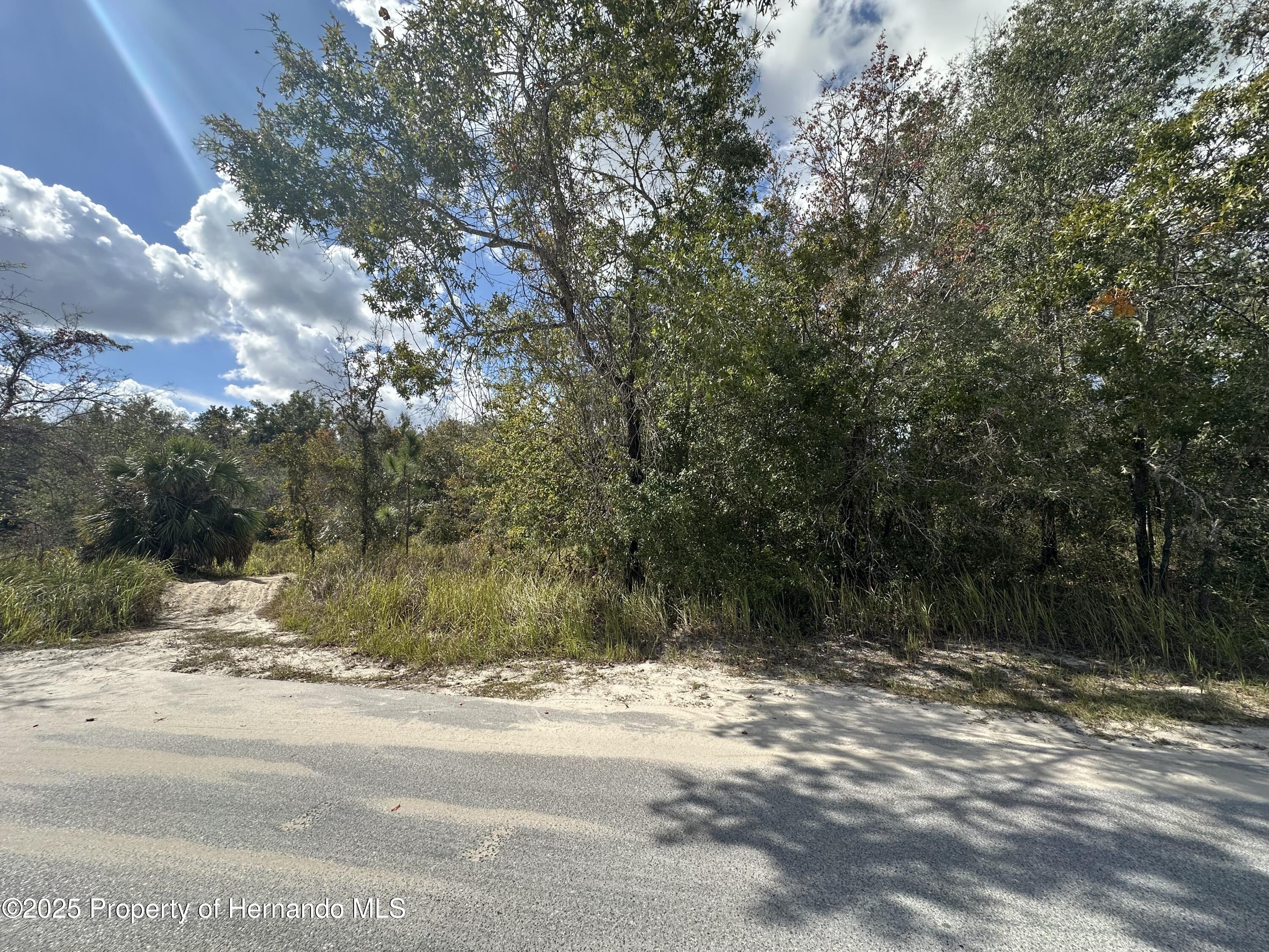 Dusky Warbler Road Weeki Wachee Florida United States, for Sale, residential,  , Gold Star Realty Group Inc