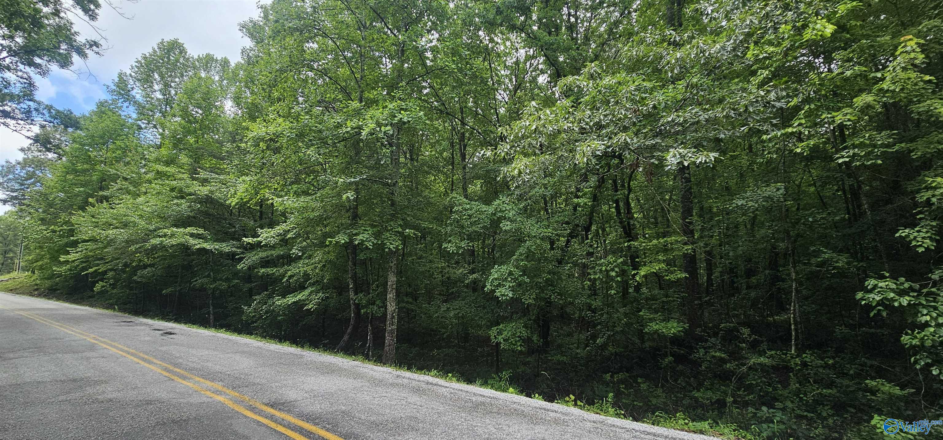 3 +/- Acres County Road 106 Mentone Alabama United States, for Sale, commercial,  , Waterfront International Realty