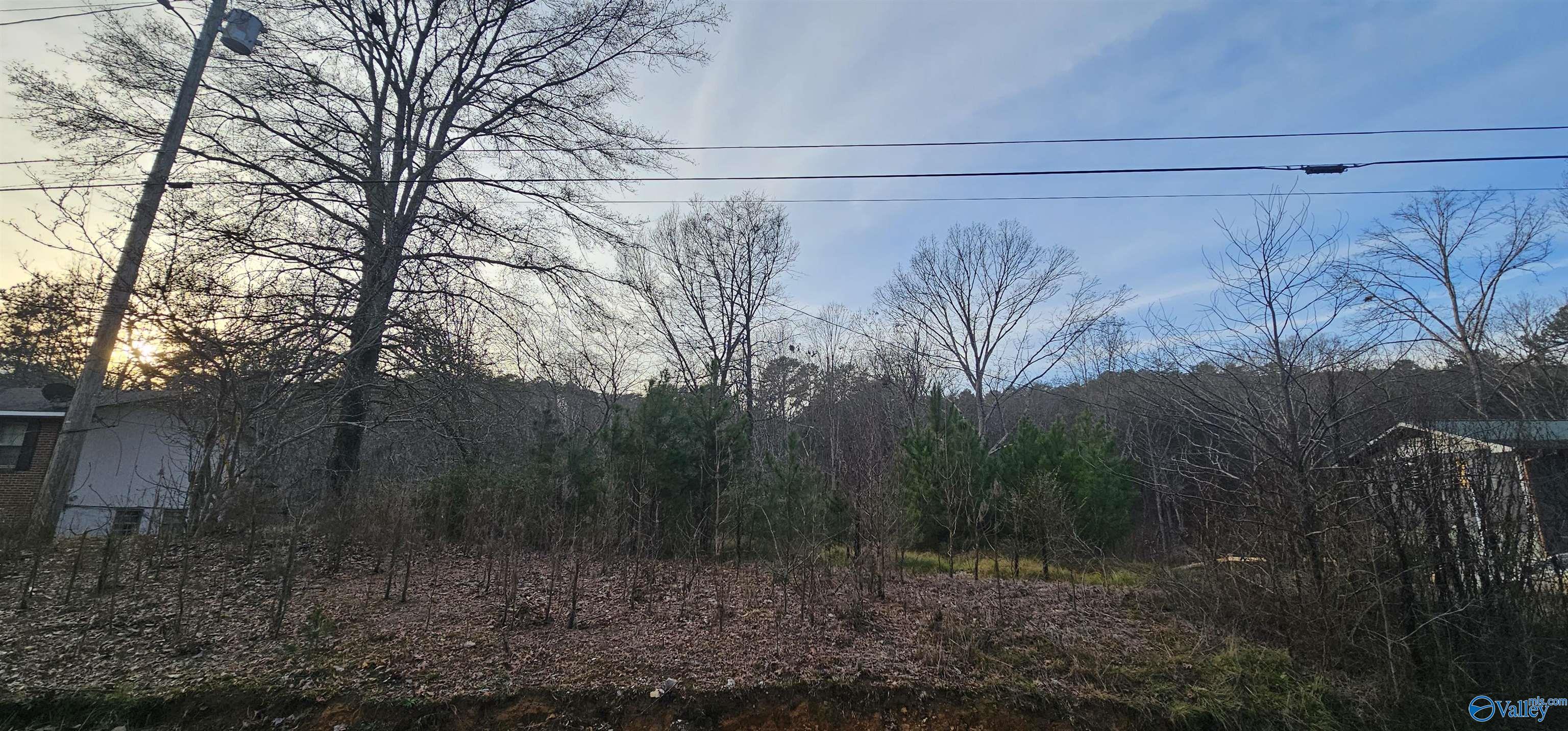 .37+/- Lot Park Road Fort Payne Alabama United States, for Sale, residential,  , Waterfront International Realty